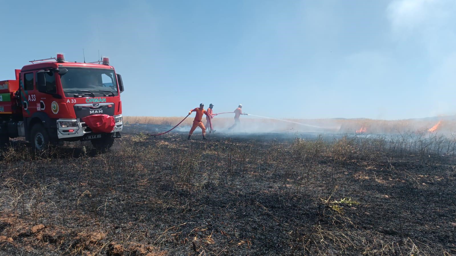 Bingöl’de yaklaşık 100 dönümlük tarım alanı yandı
