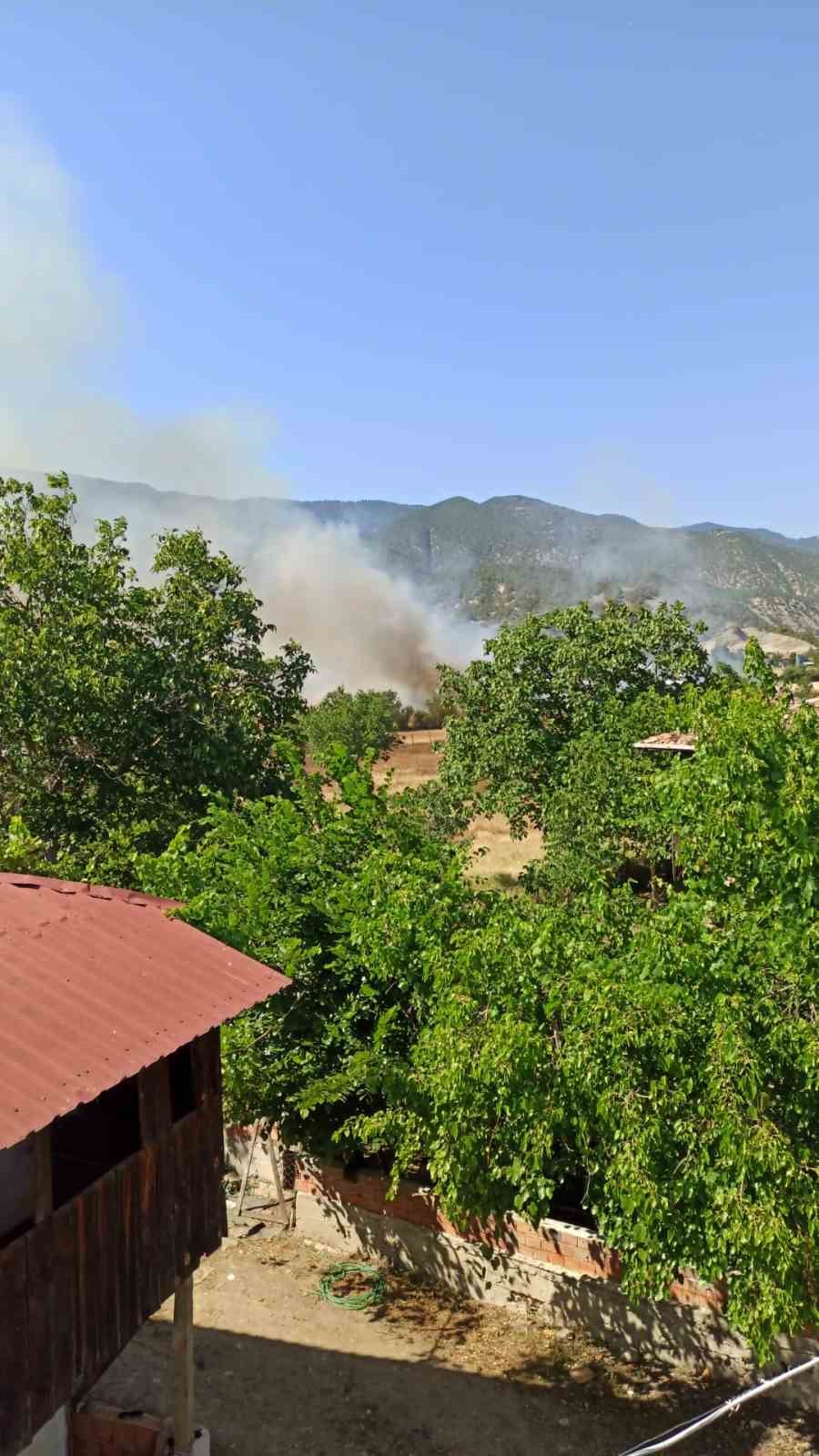 Sinop’ta tarım arazisinde yangın
