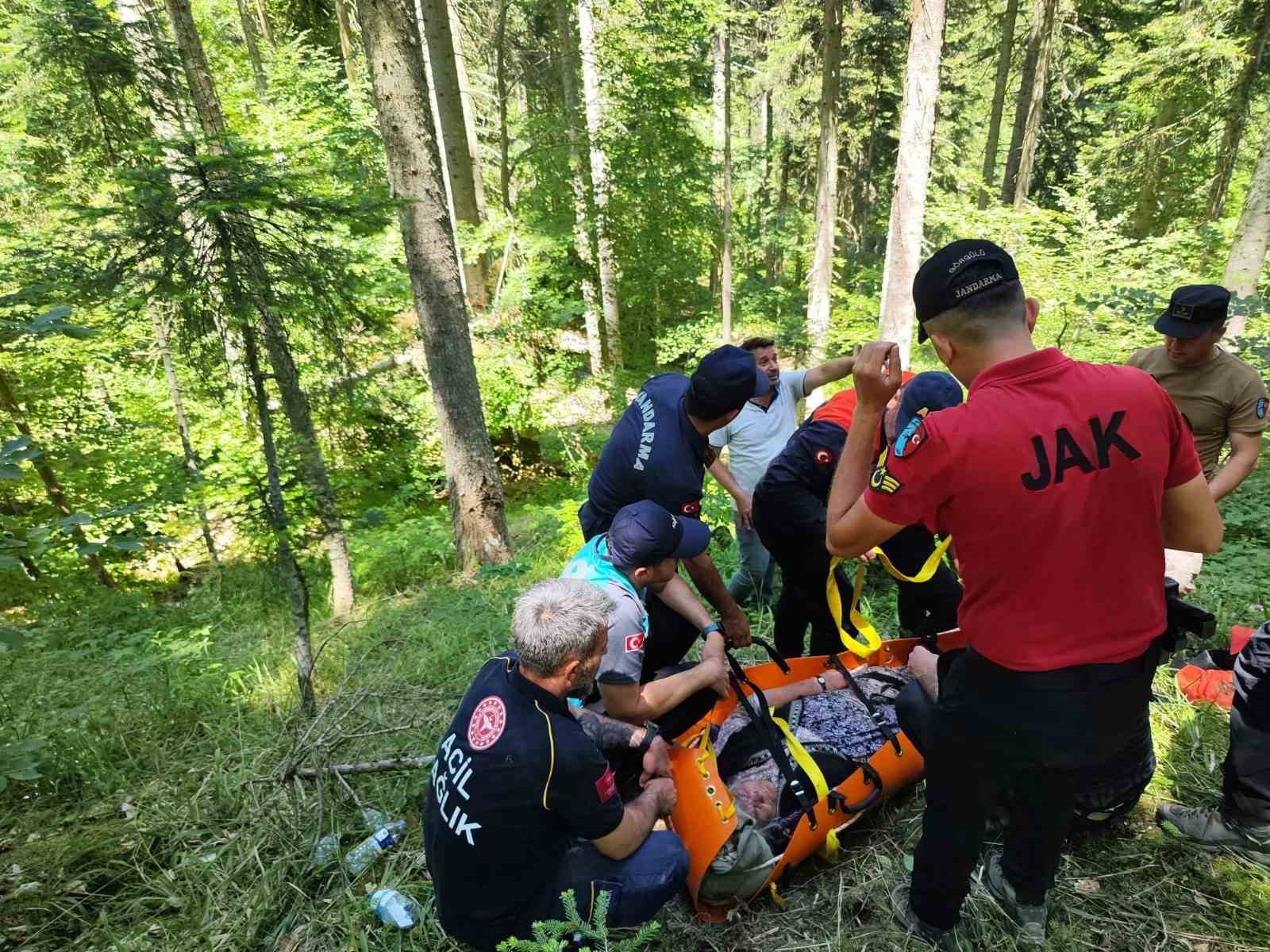 9 gündür kayıp olarak aranan kadın, ormanlık alanda bulundu
