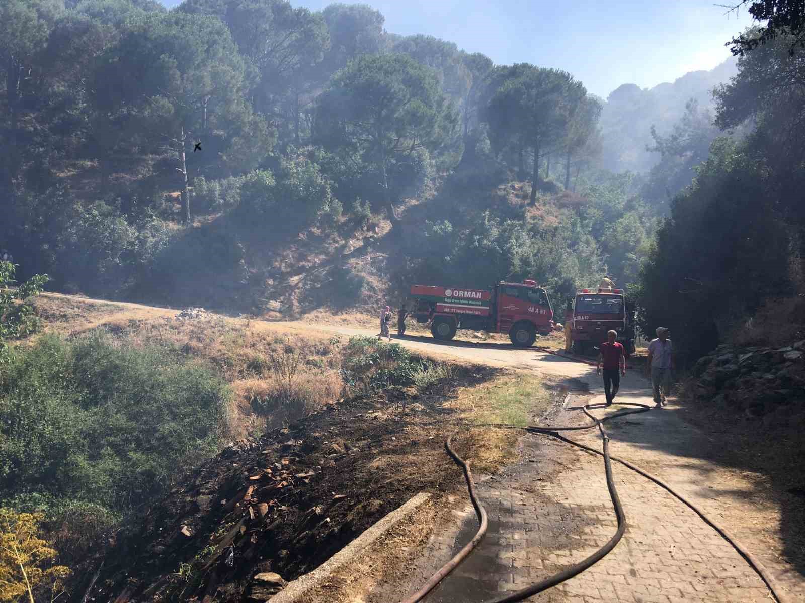 Koçarlı’daki yangın kontrol altına alındı
