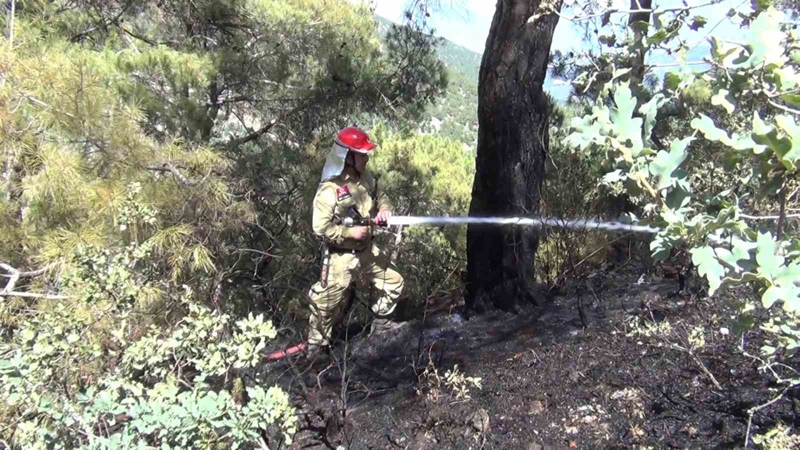 Oğuzlar’da orman yangını
