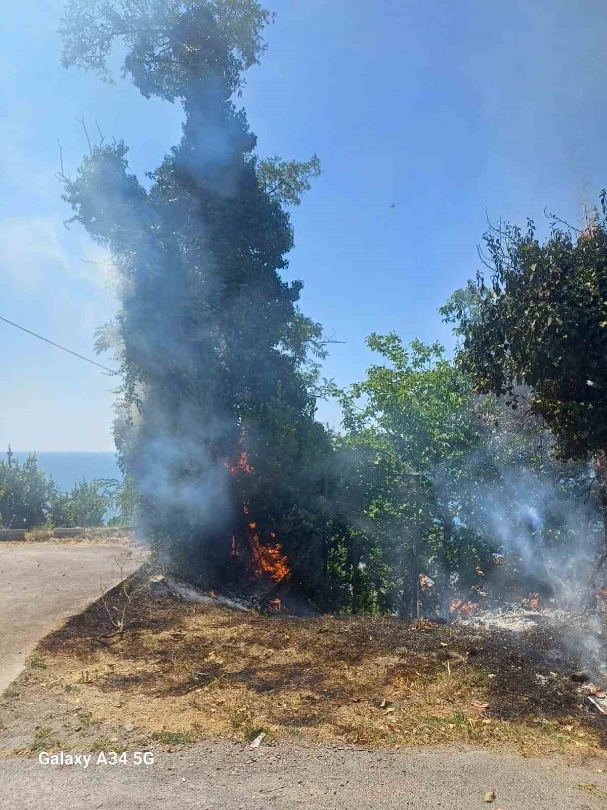 Çıkan yangın ekipleri harekete geçirdi
