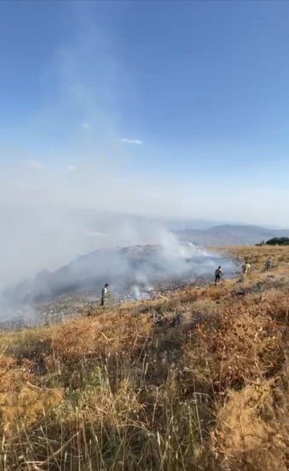 Siirt’teki orman yangını kontrol altına alındı
