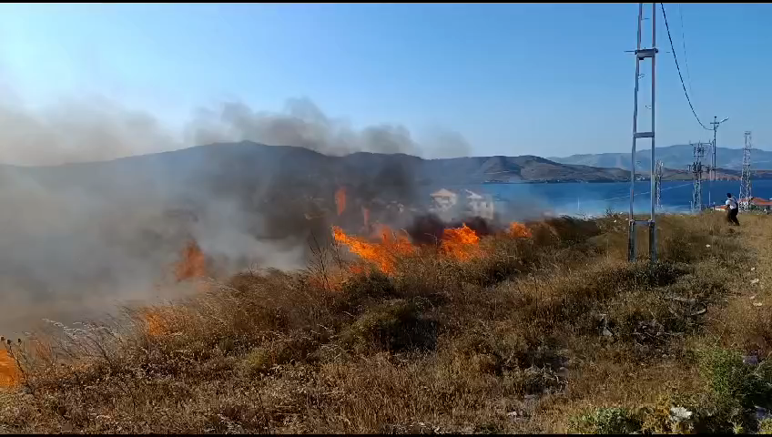 Avşa’da arazi yangını yürekleri ağıza getirdi
