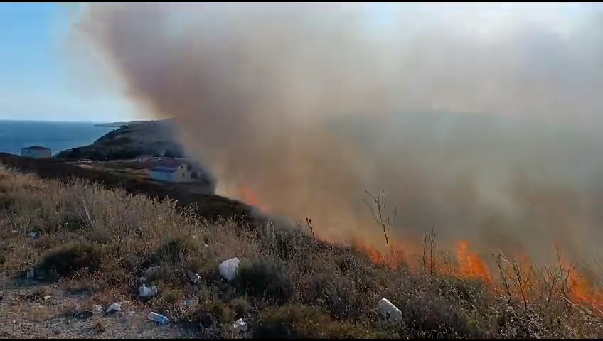 Avşa’da arazi yangını yürekleri ağıza getirdi
