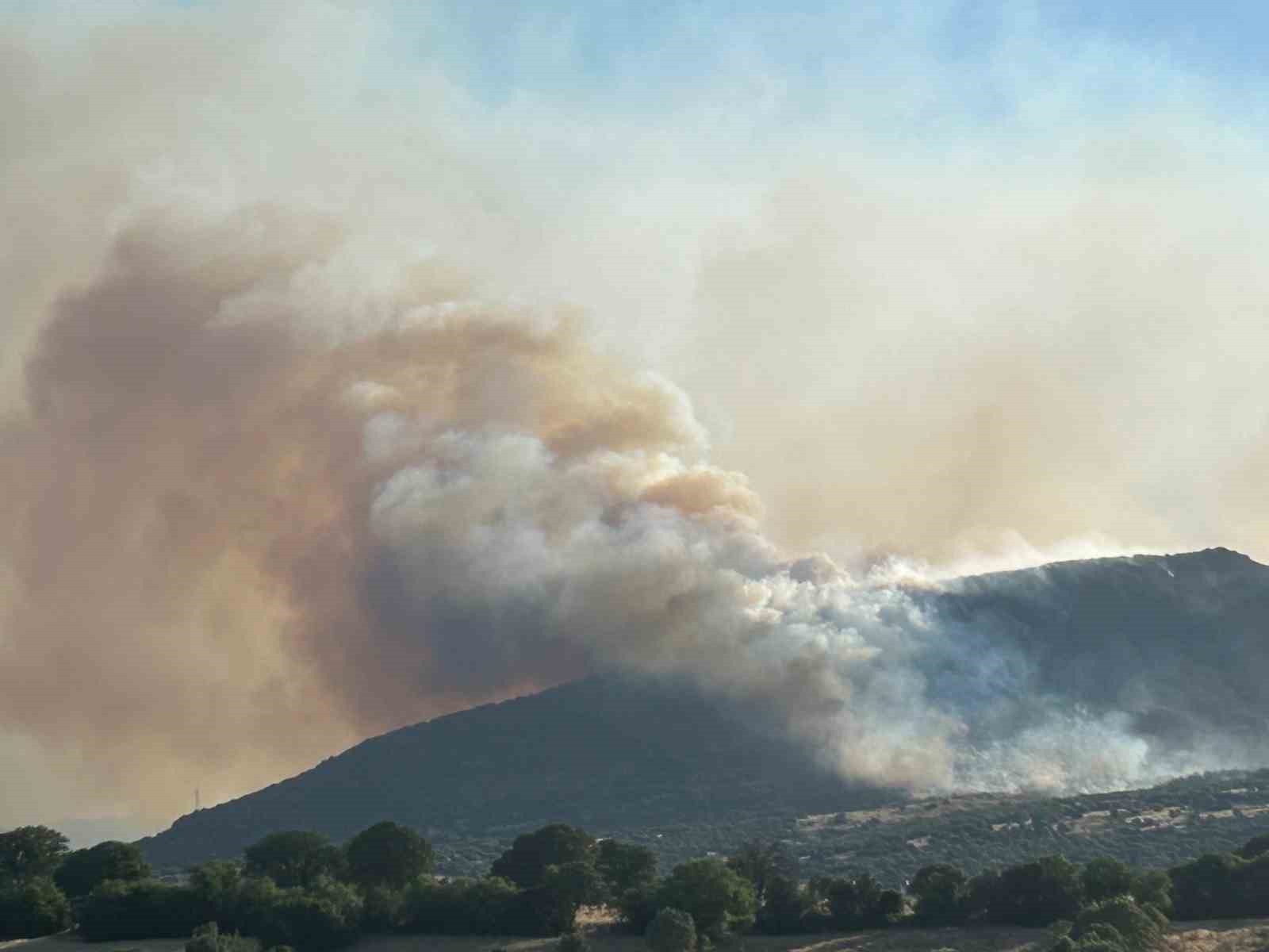 Uşak’ta ormanlık alanda yangın
