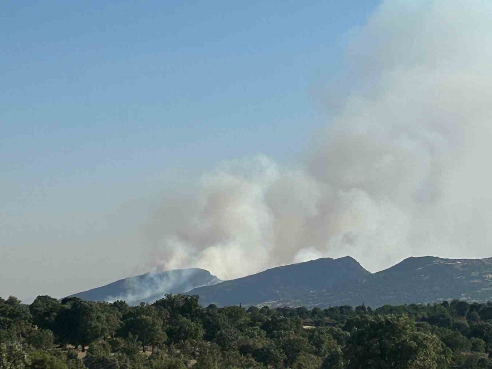 Uşak’ta ormanlık alanda yangın
