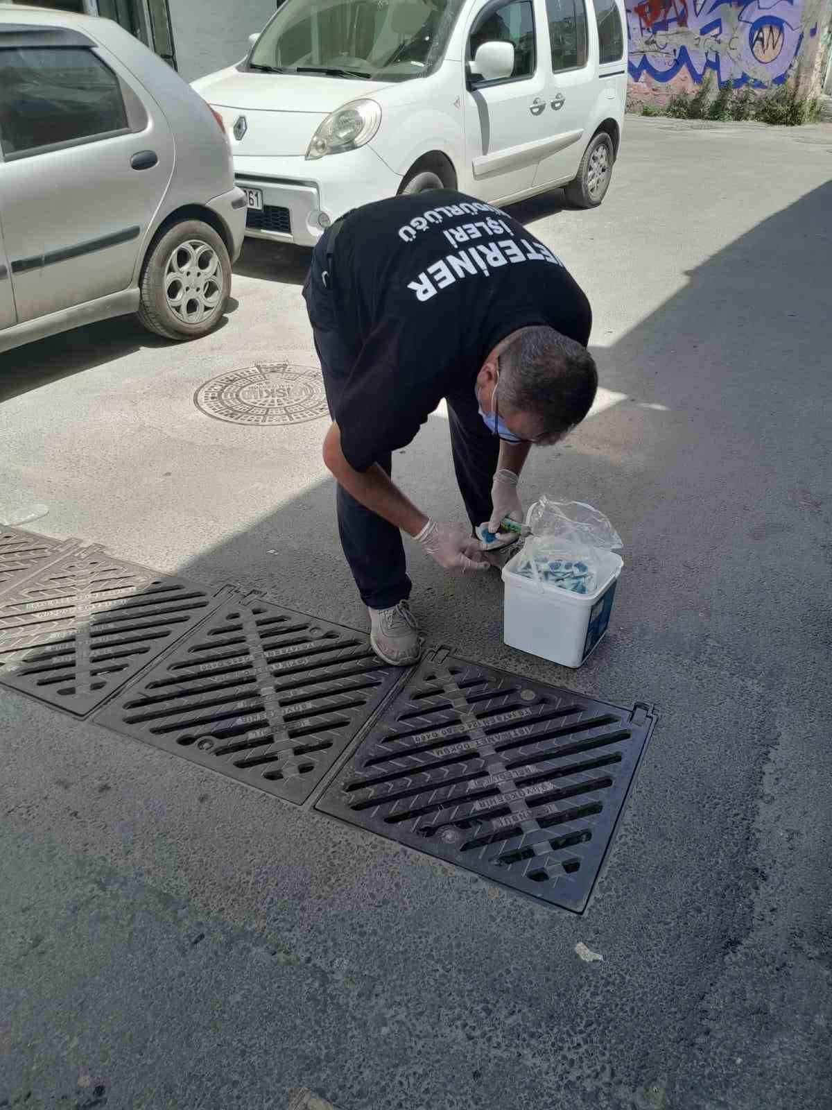 Eyüpsultan’da ilaçlama çalışmaları sürüyor
