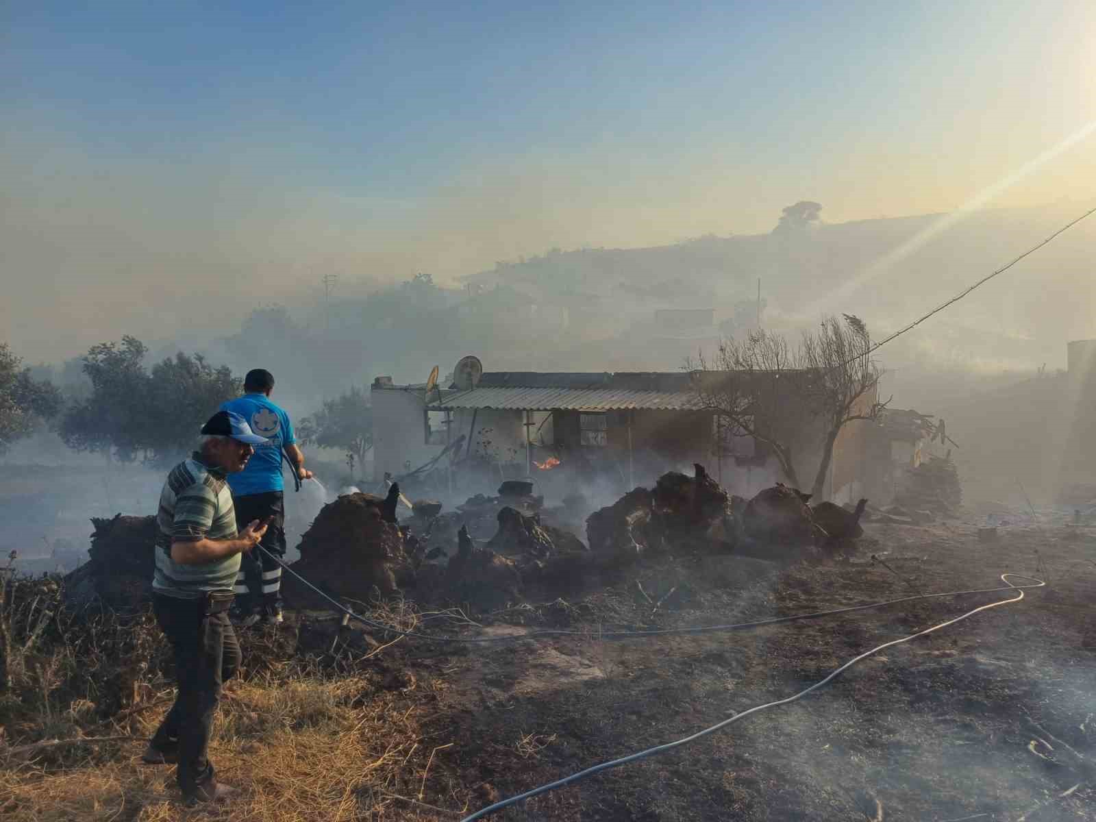 Manisa’daki yangına müdahale sürüyor: 300 hektar alan ile evler zarar gördü
