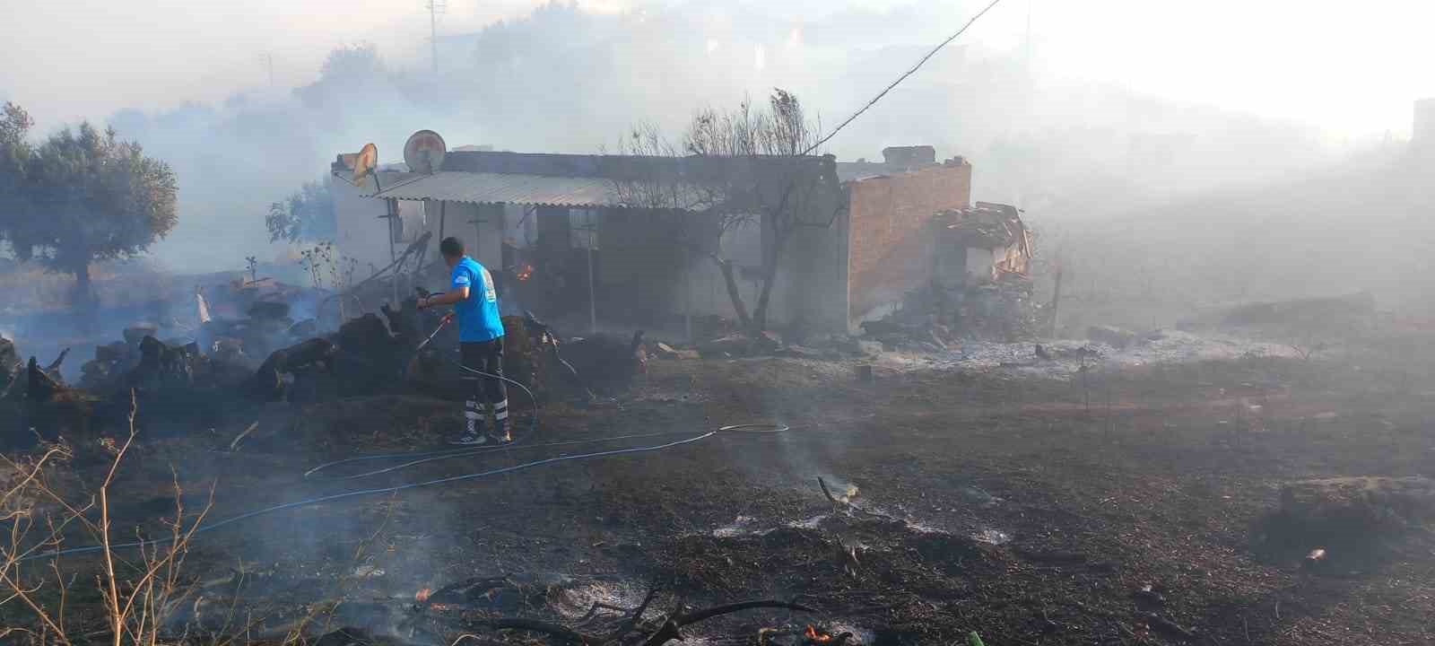 Manisa’daki yangına müdahale sürüyor: 300 hektar alan ile evler zarar gördü
