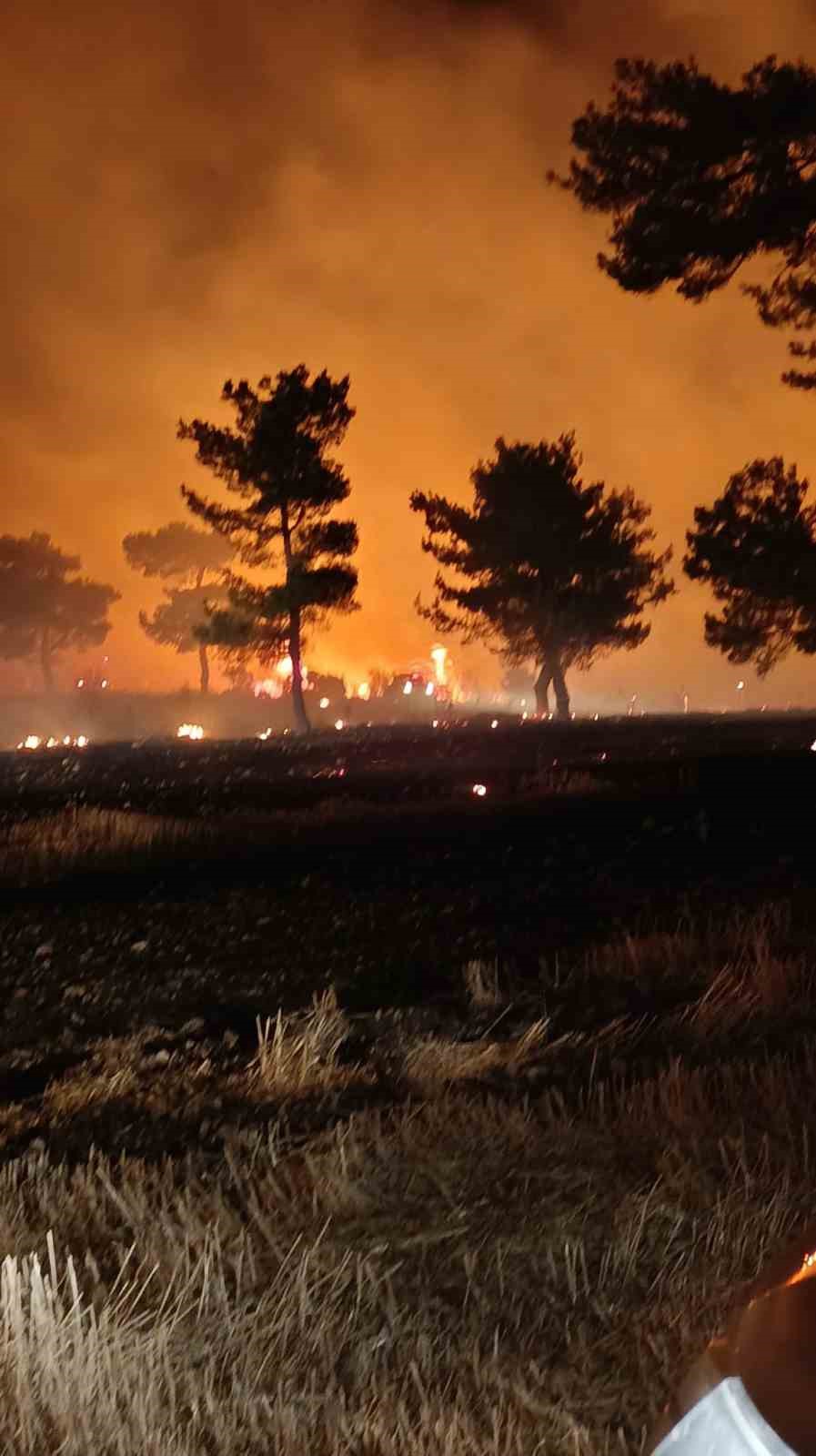 Bayramiç’teki orman yangını kontrol altına alındı
