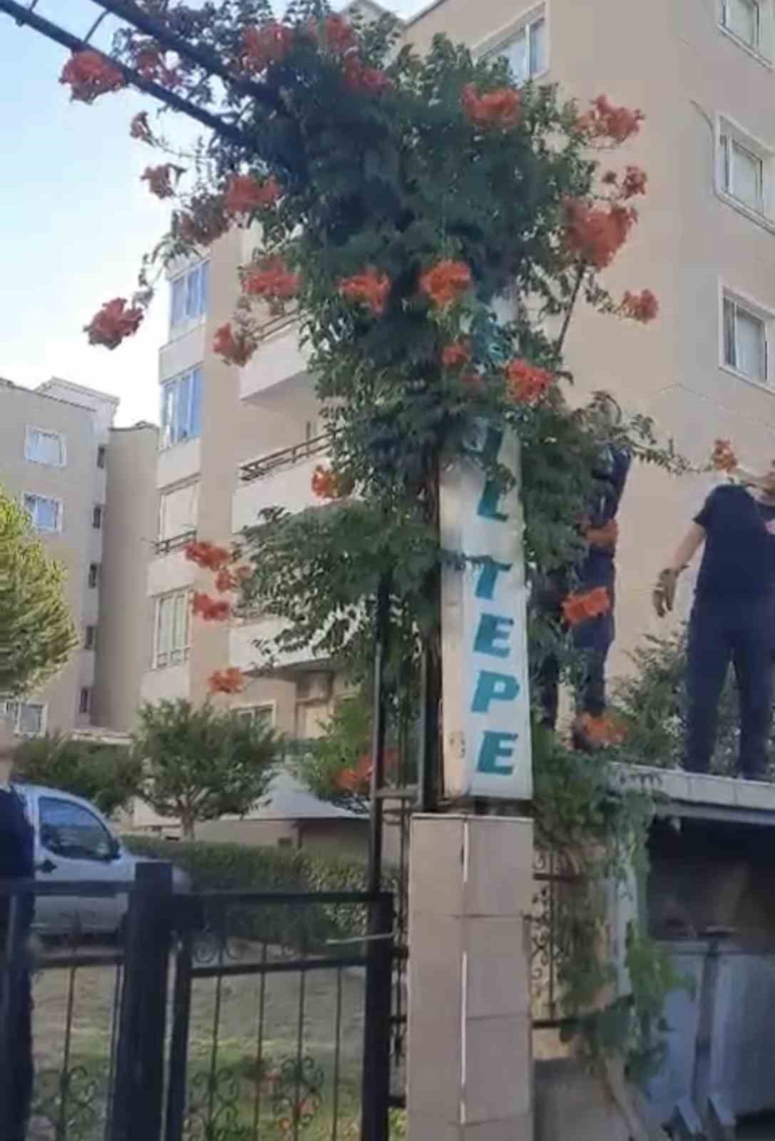 Sitenin bahçe kapısına dolanan yılan ecel terleri döktürdü
