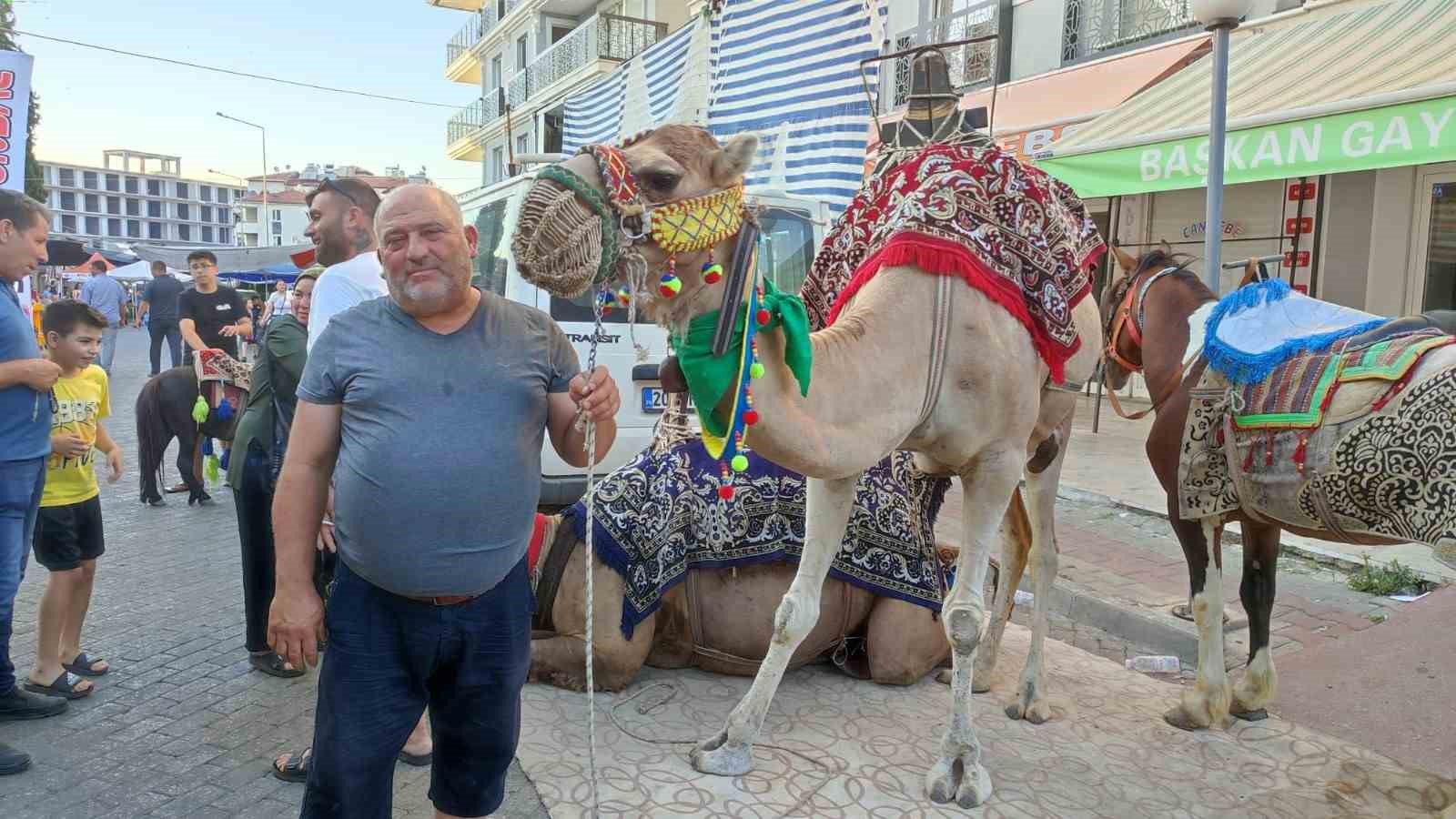 Yörük kültürünü yaşatmak için 36 yıldır develeriyle festivallere gidiyor
