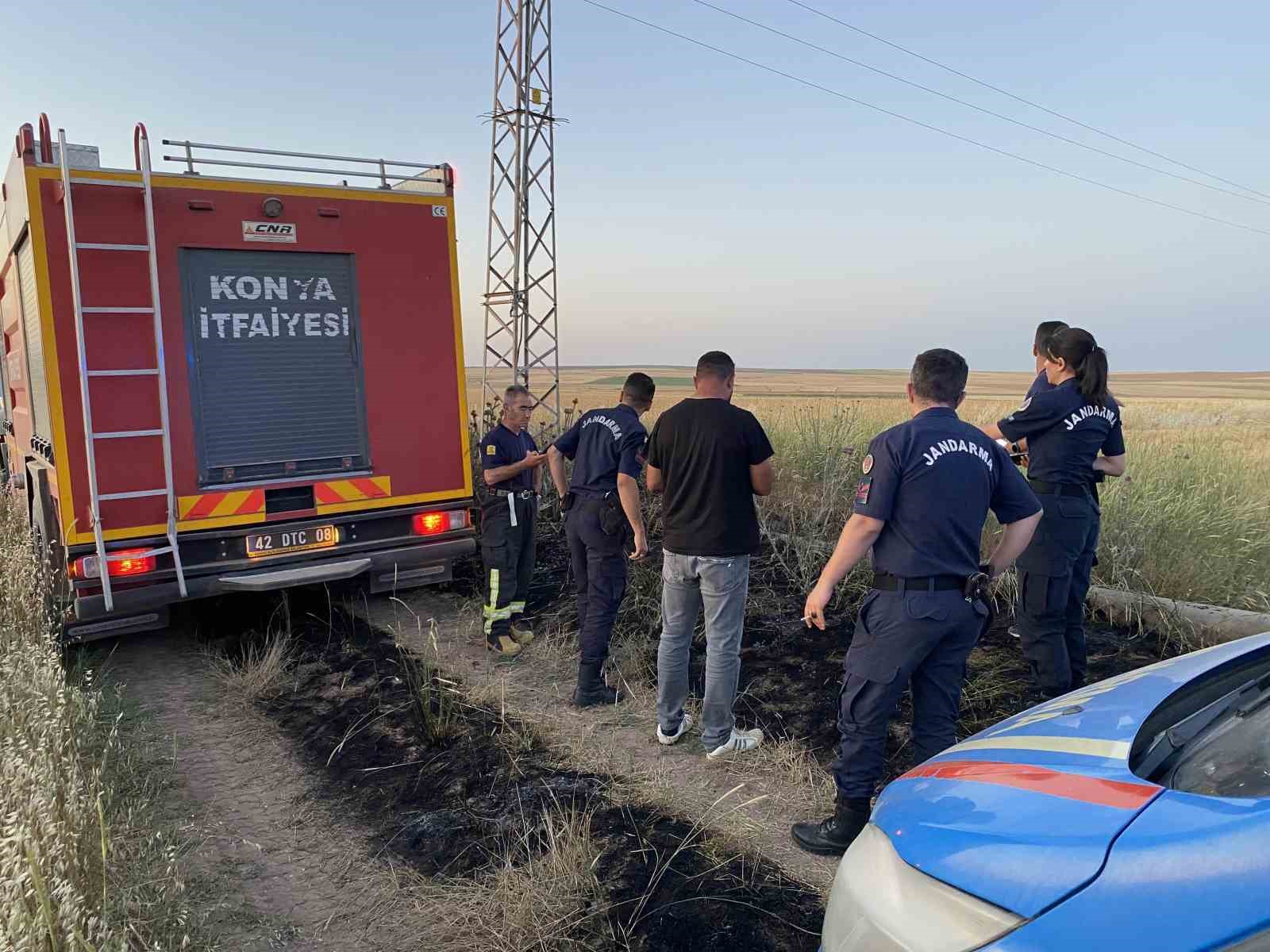 Elektrik akımına kapılan kuşlar yangına neden oldu
