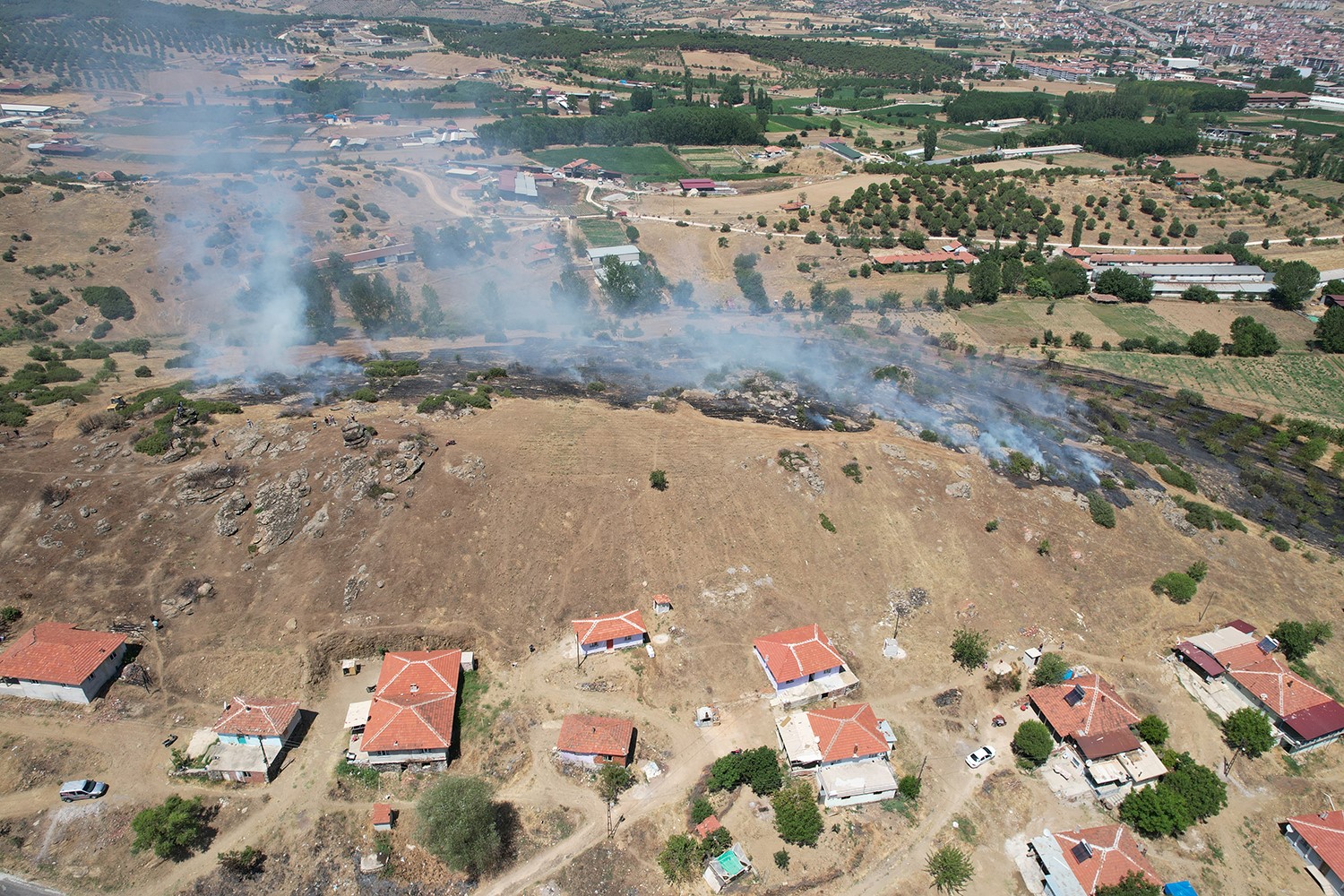 Manisa’da makilik alanda yangın
