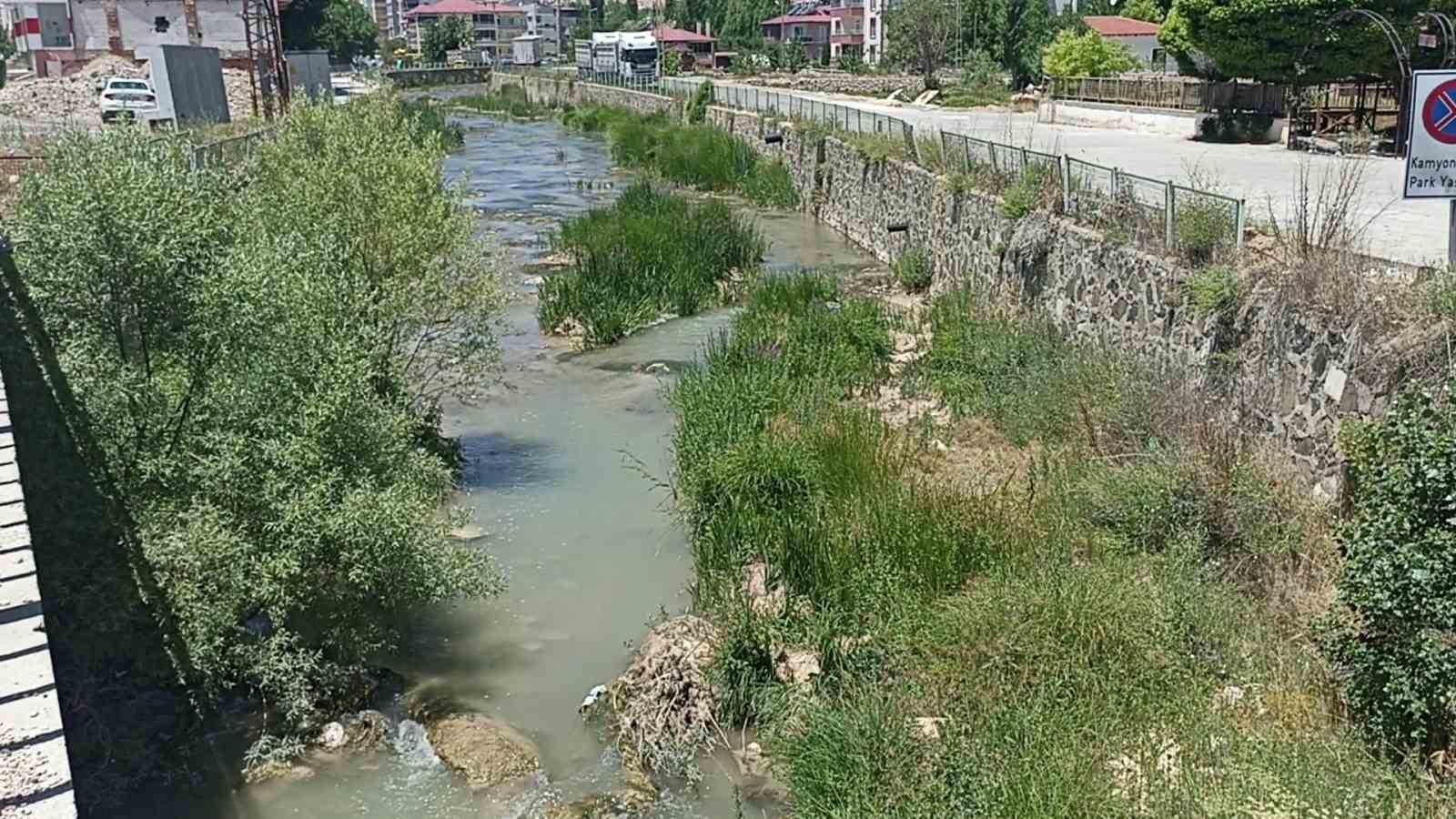 Tohma çayındaki toplu balık ölümleri tedirgin ediyor
