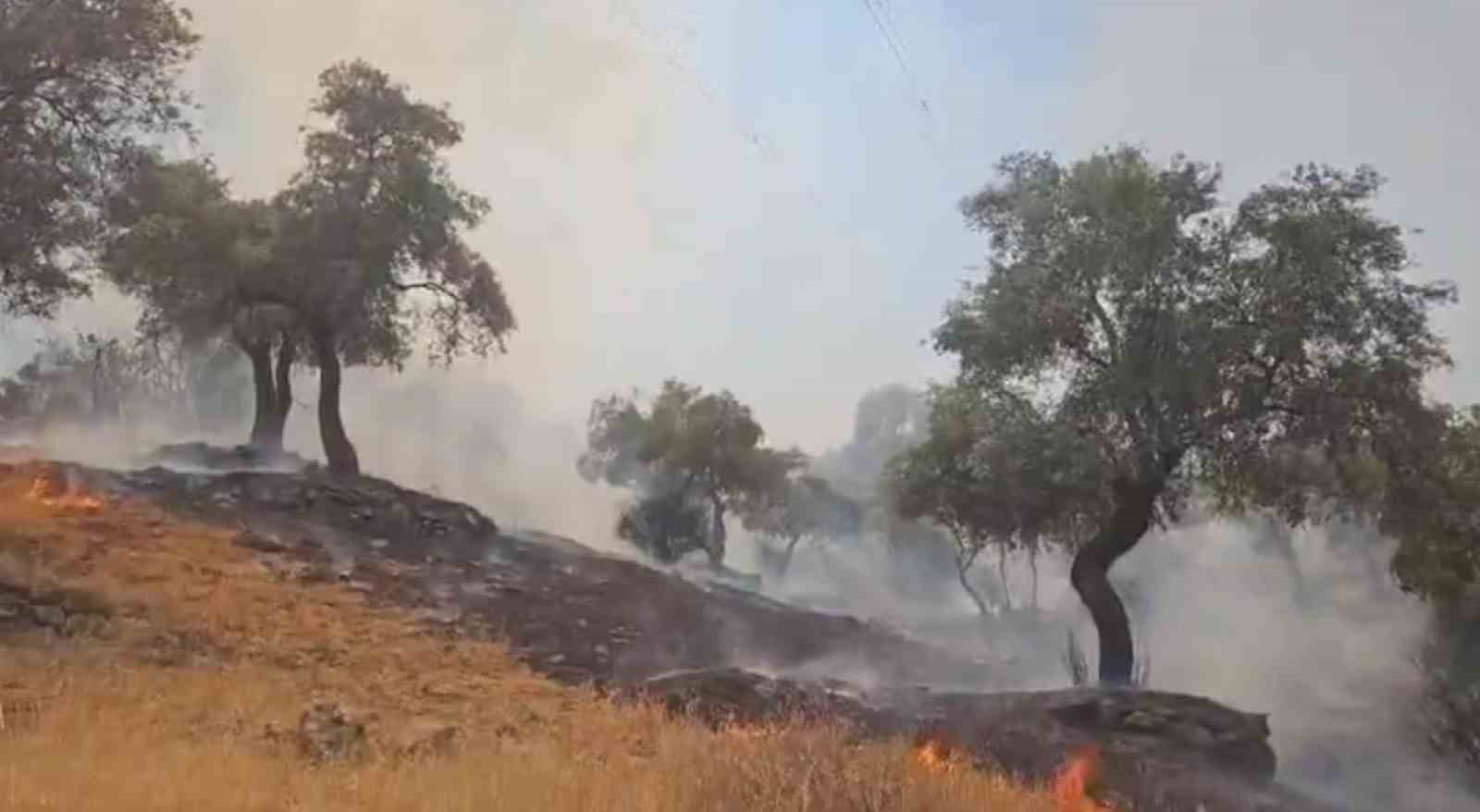 Çine’deki yangın kontrol altına alındı
