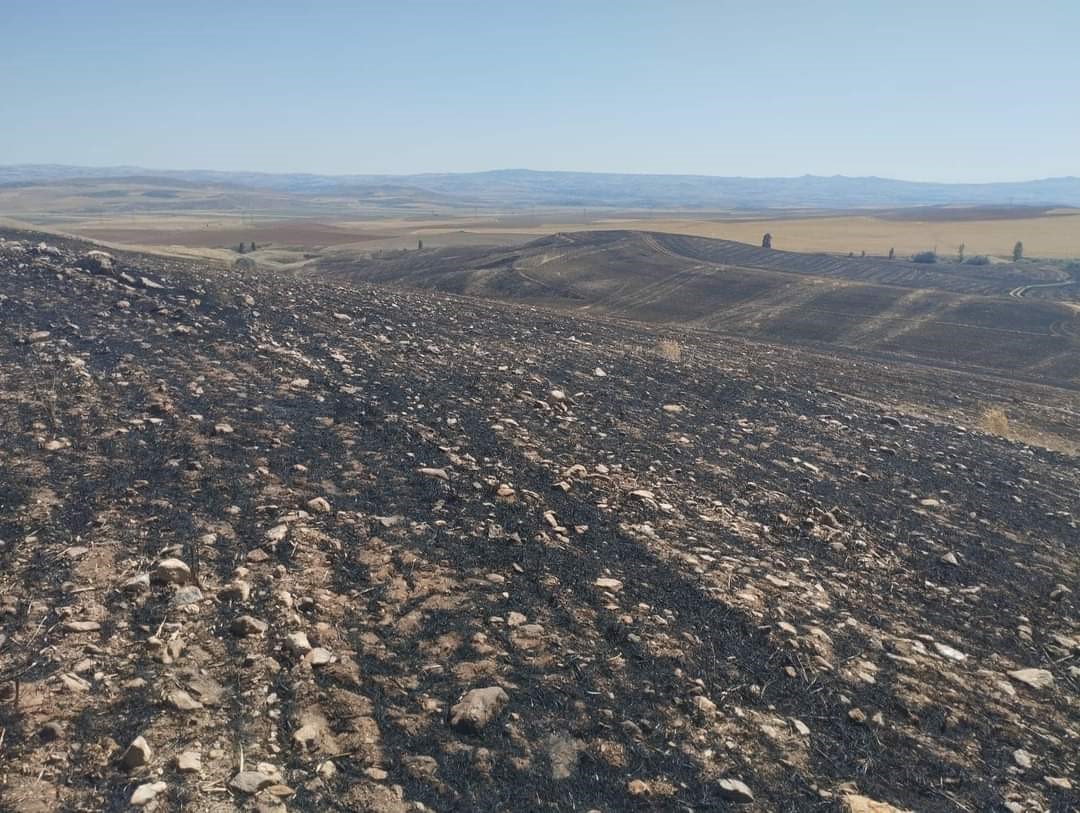 Kırşehir’deki yangınlarda 200 dönümlük arazi zarar gördü
