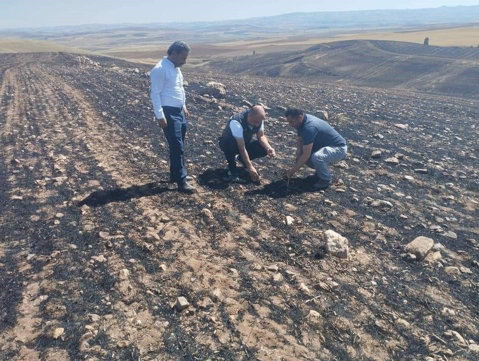 Kırşehir’deki yangınlarda 200 dönümlük arazi zarar gördü
