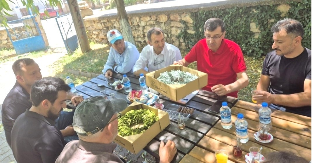 Başkan Kahveci, Hisarcık’ta tıbbi ve aromatik bitkileri inceledi
