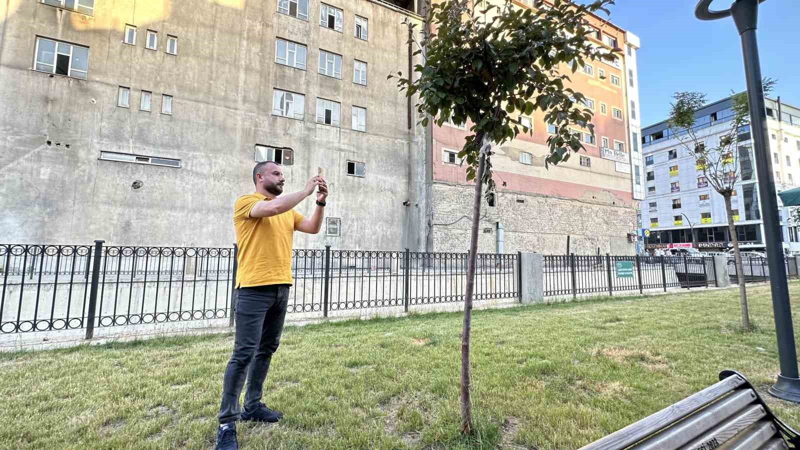 Yüzlerce bal arısı şehir merkezindeki parkı mesken tuttu
