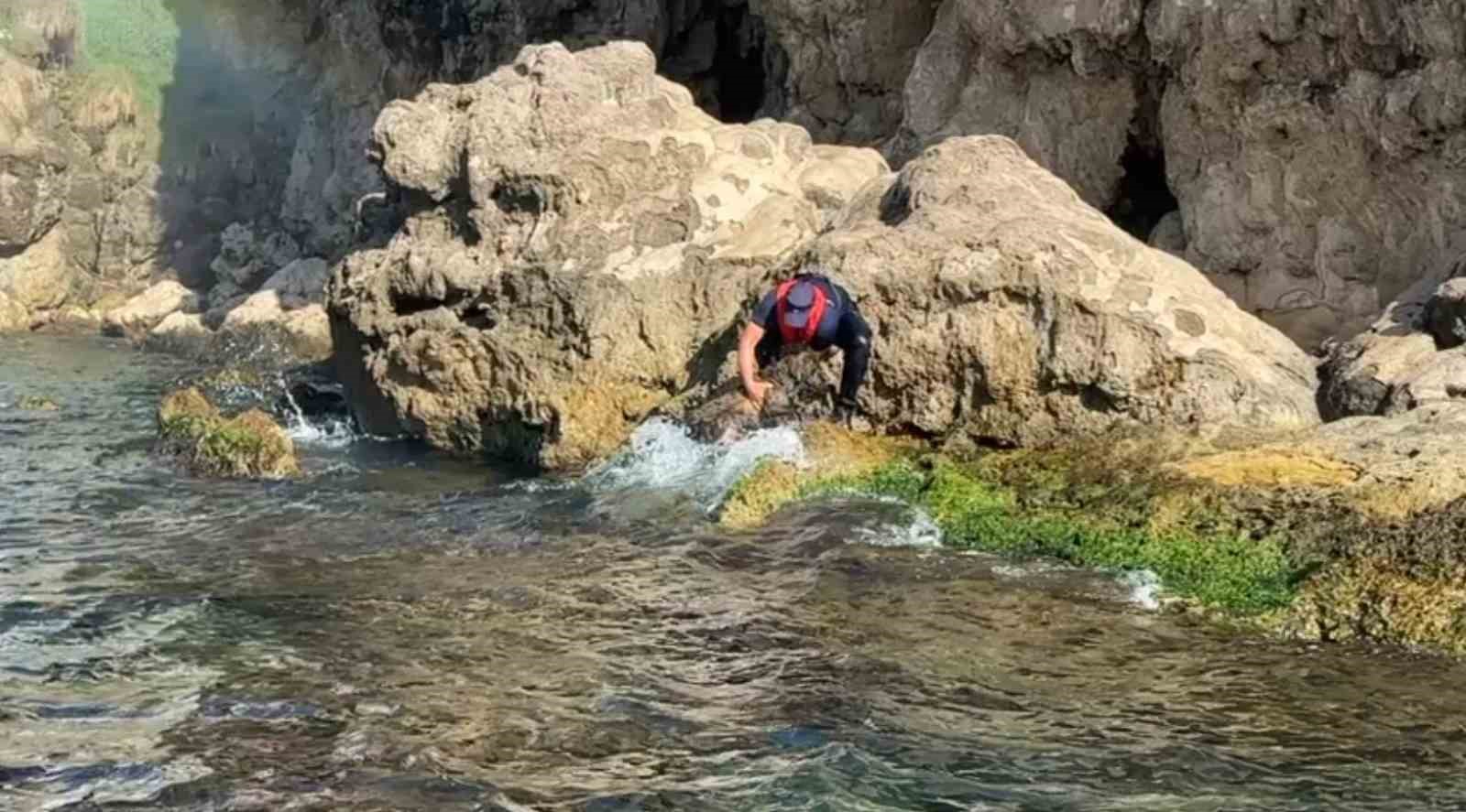 Antalya’da denize düşen köpeği Sahil Güvenlik ekipleri kurtardı
