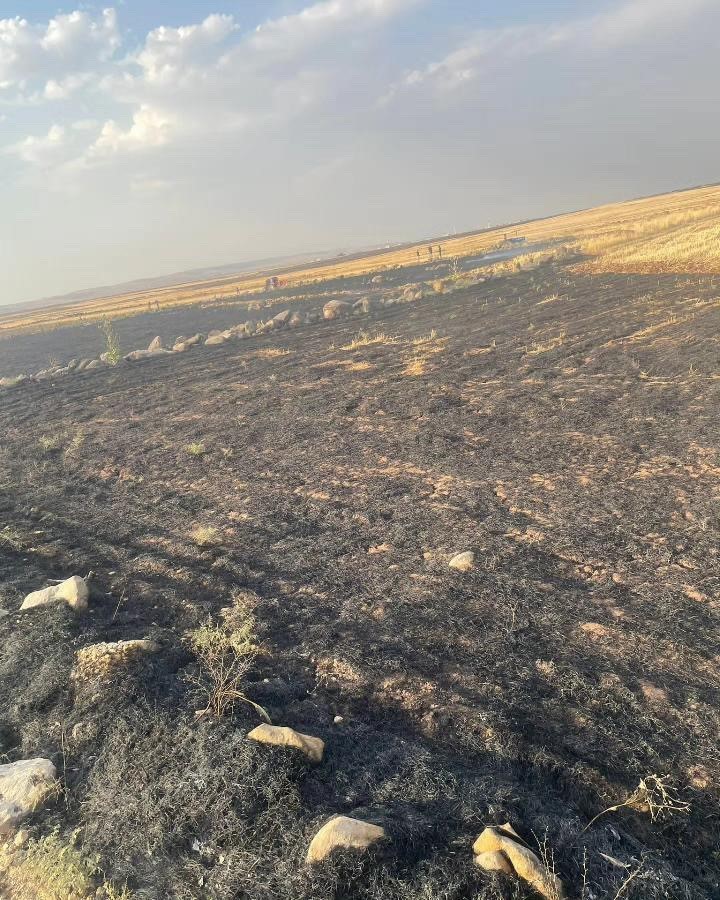 Şırnak’ta 7 köye sıçrayan anız yangını kontrol altına alındı
