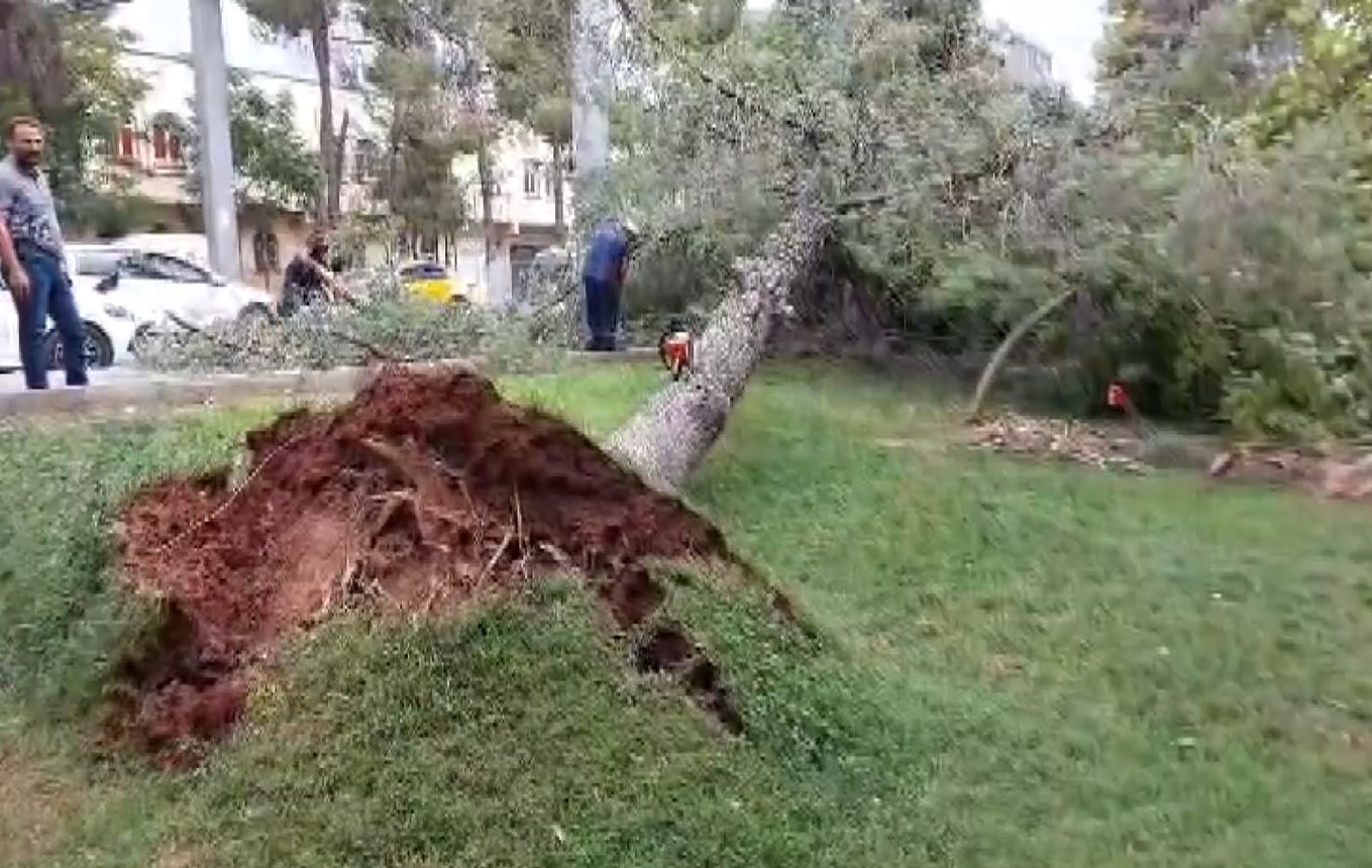 Gaziantep’te şiddetli rüzgar çatıları uçurdu, ağaçları kökünden söktü
