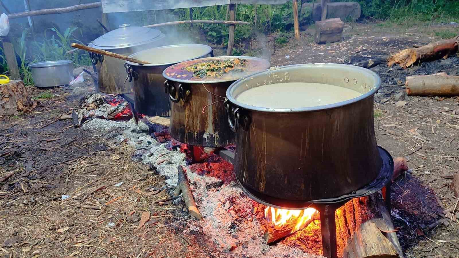 Türkiye’nin ilk şelale ağası Ordu’da seçildi
