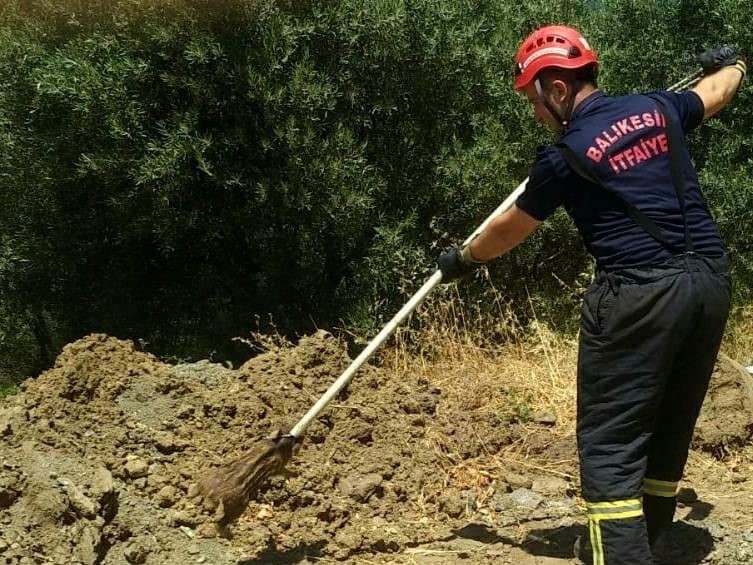 Erdek’te çukura düşen yavru domuzun imdadına itfaiye yetişti
