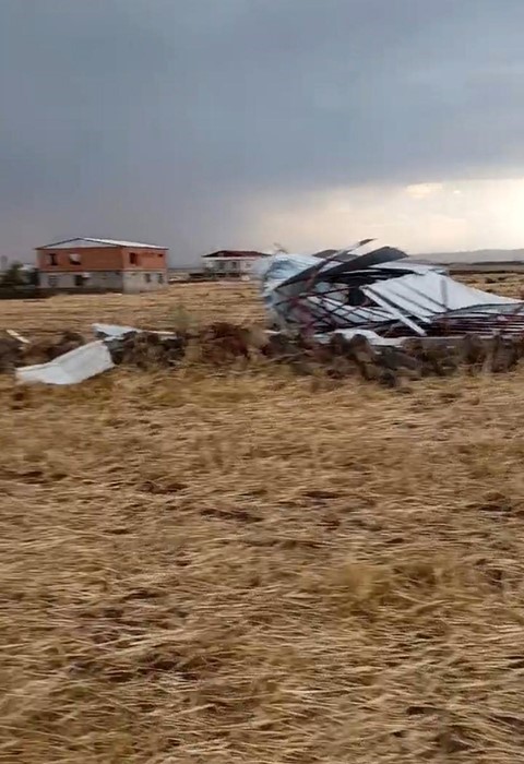 Diyarbakır’da fırtınada ağaç devrildi, piknik alanı savaş alanına döndü
