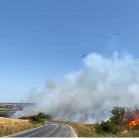 Edirne’de tarım arazisinde başlayan yangın ormana sıçramadan kontrol altına alındı
