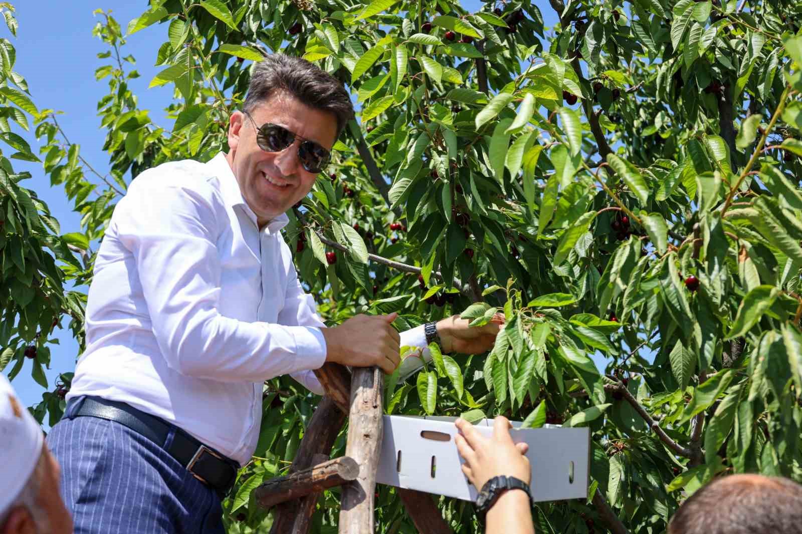 Vali Aygöl, hıdırellez şenliklerine katıldı
