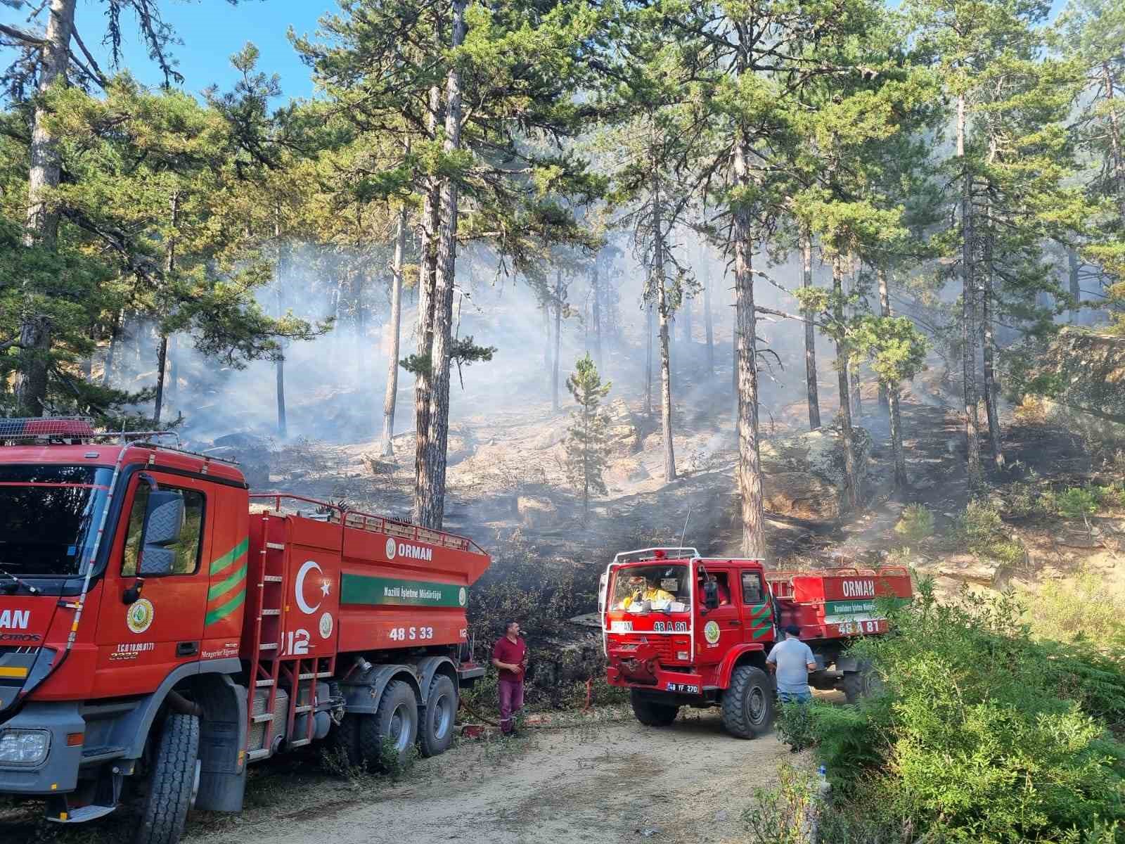 Bozdoğan’daki orman yangını kontrol altına alındı
