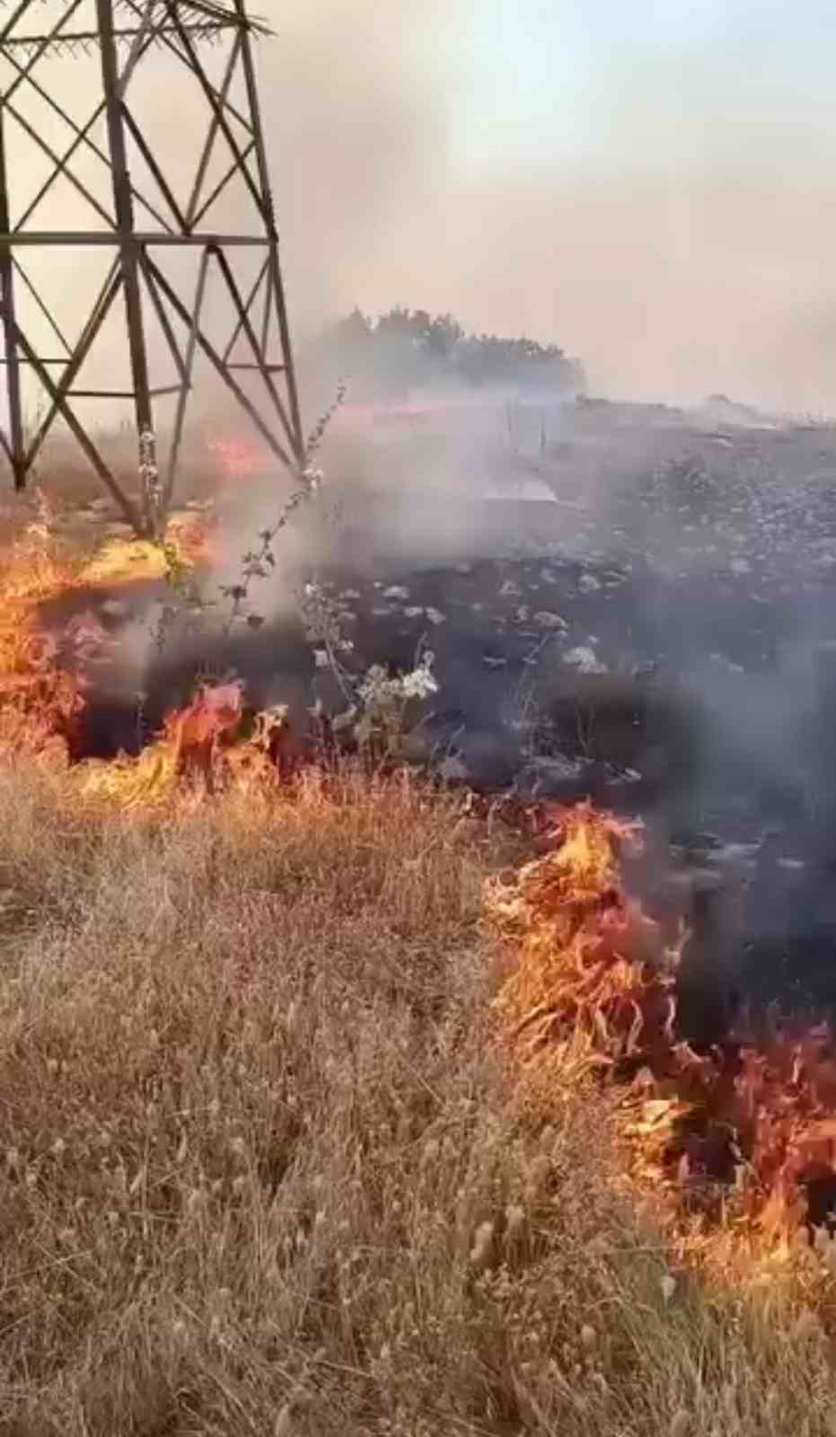 Şırnak’taki anız yangınına müdahale ediliyor
