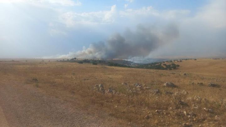 Şırnak’taki anız yangınına müdahale ediliyor
