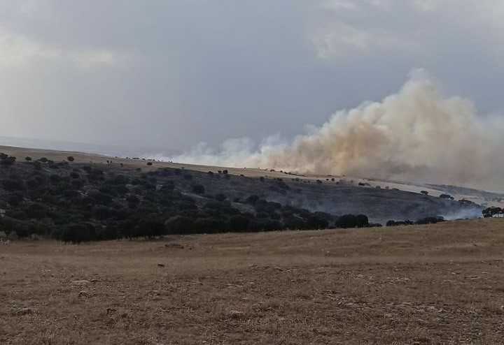 Şırnak’taki anız yangınına müdahale ediliyor
