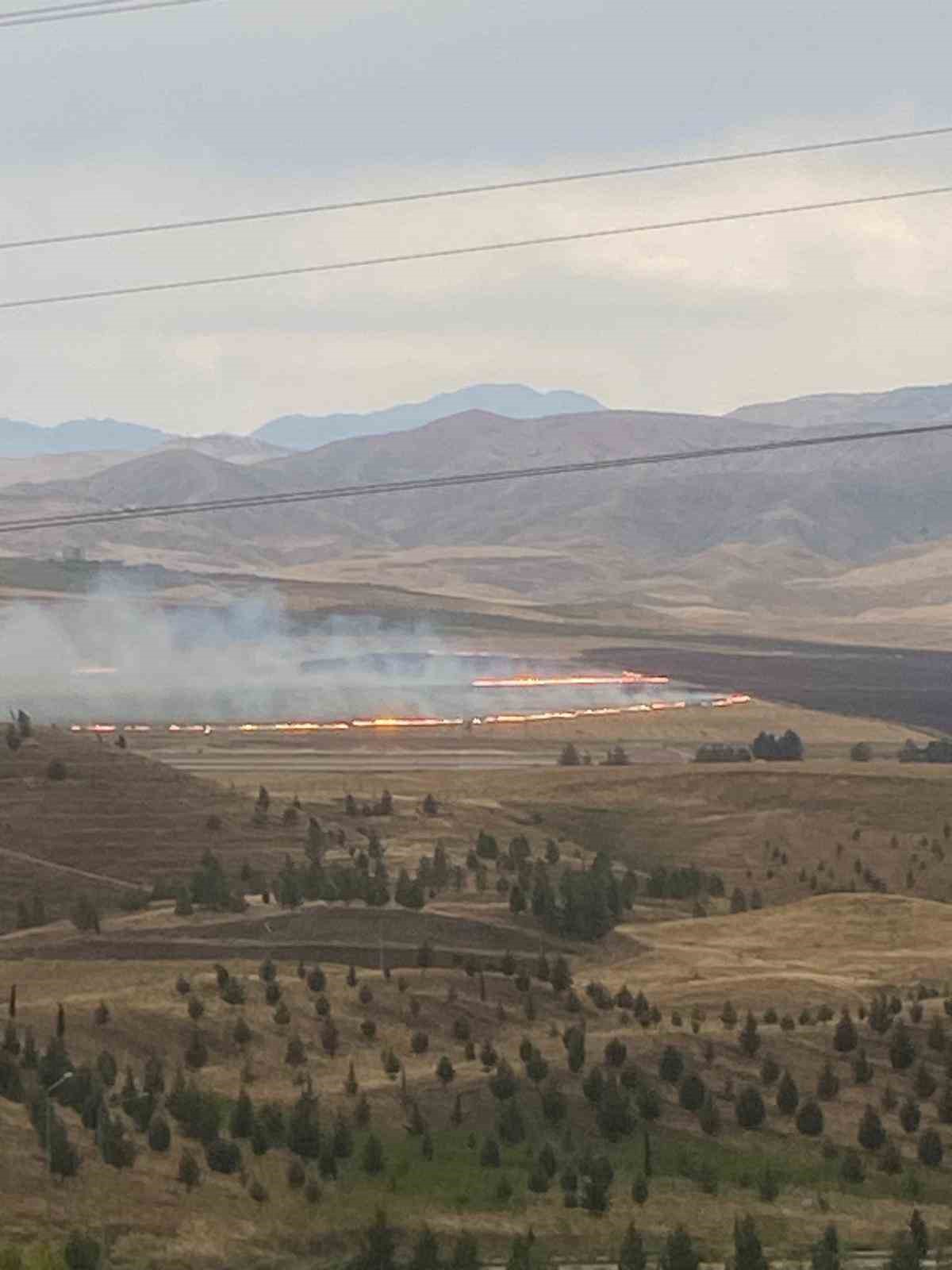 Siirt’teki anız yangınları kontrol altına alındı
