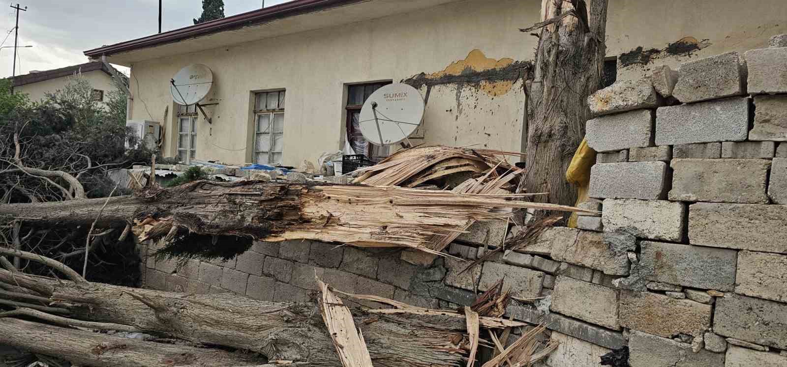 Fırtına Antep fıstığı ağaçlarına zarar verdi
