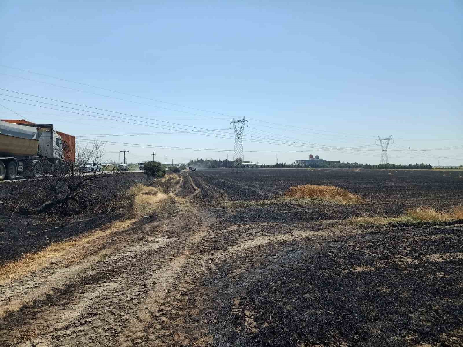 Tekirdağ’da 180 dönüm buğday cayır cayır yandı: 3 yaralı
