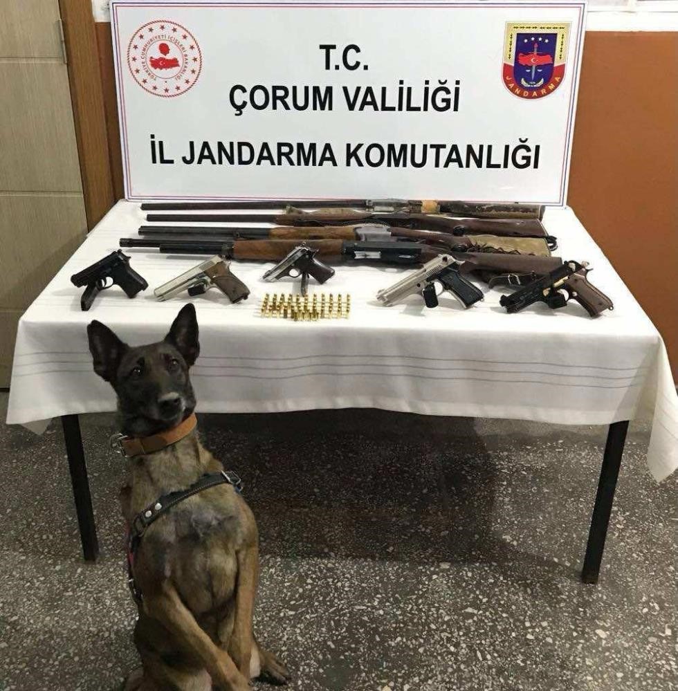 Çorum İl Jandarma Komutanlığı’ndan suçları aydınlatmada büyük başarı
