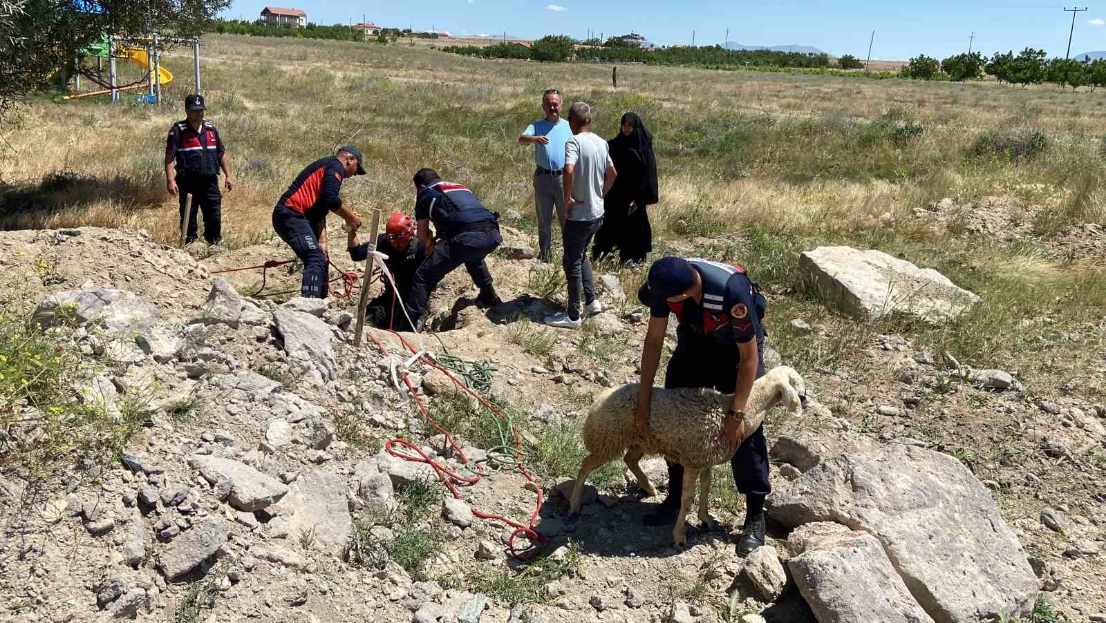 Yolcunun çay molası kuyuya düşen koyunu kurtardı
