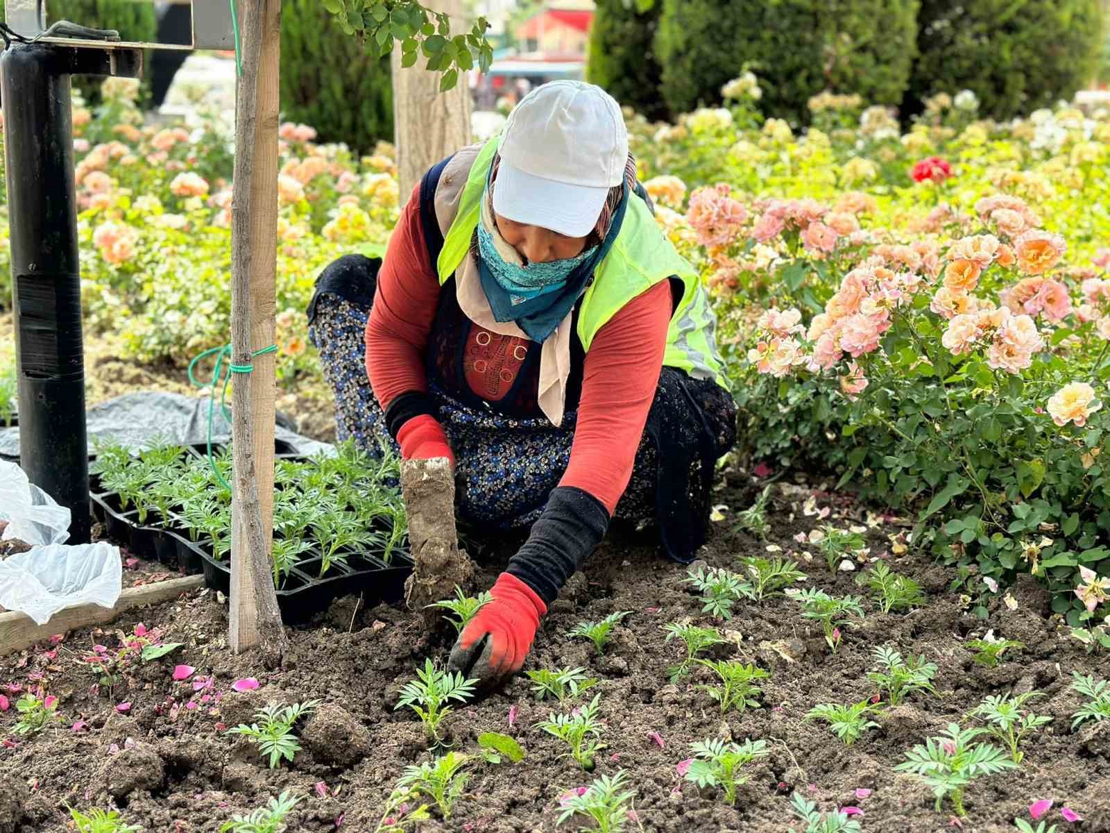 Sincan çiçeklerle donatıldı
