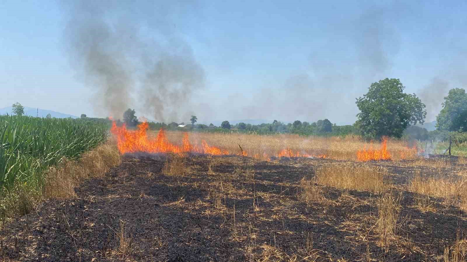 Düzce’de anız yangını uzun süre sonra kontrol altına alındı
