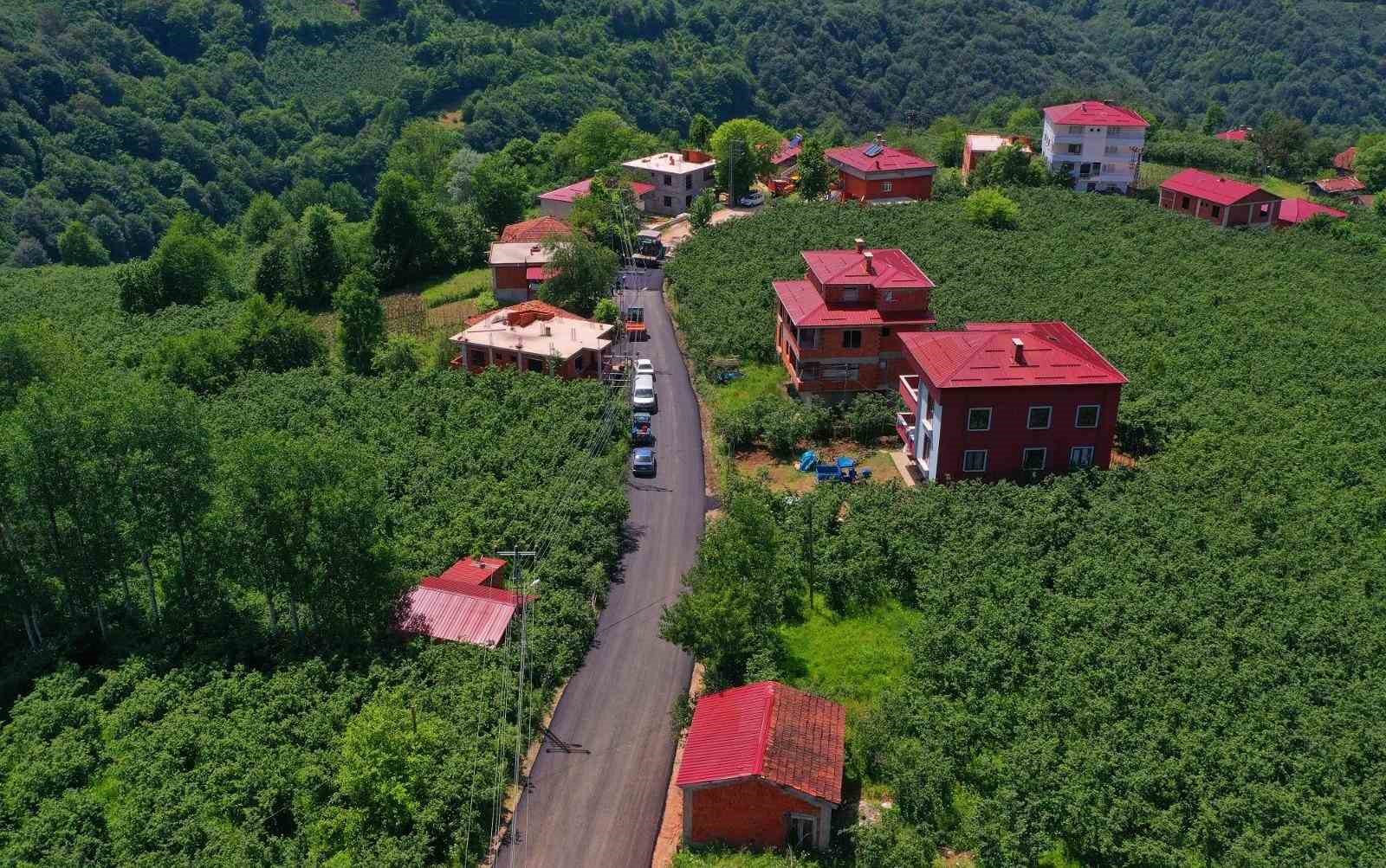 Ordu’nun kırsal yol ağında sıcak asfalt çalışmaları sürüyor
