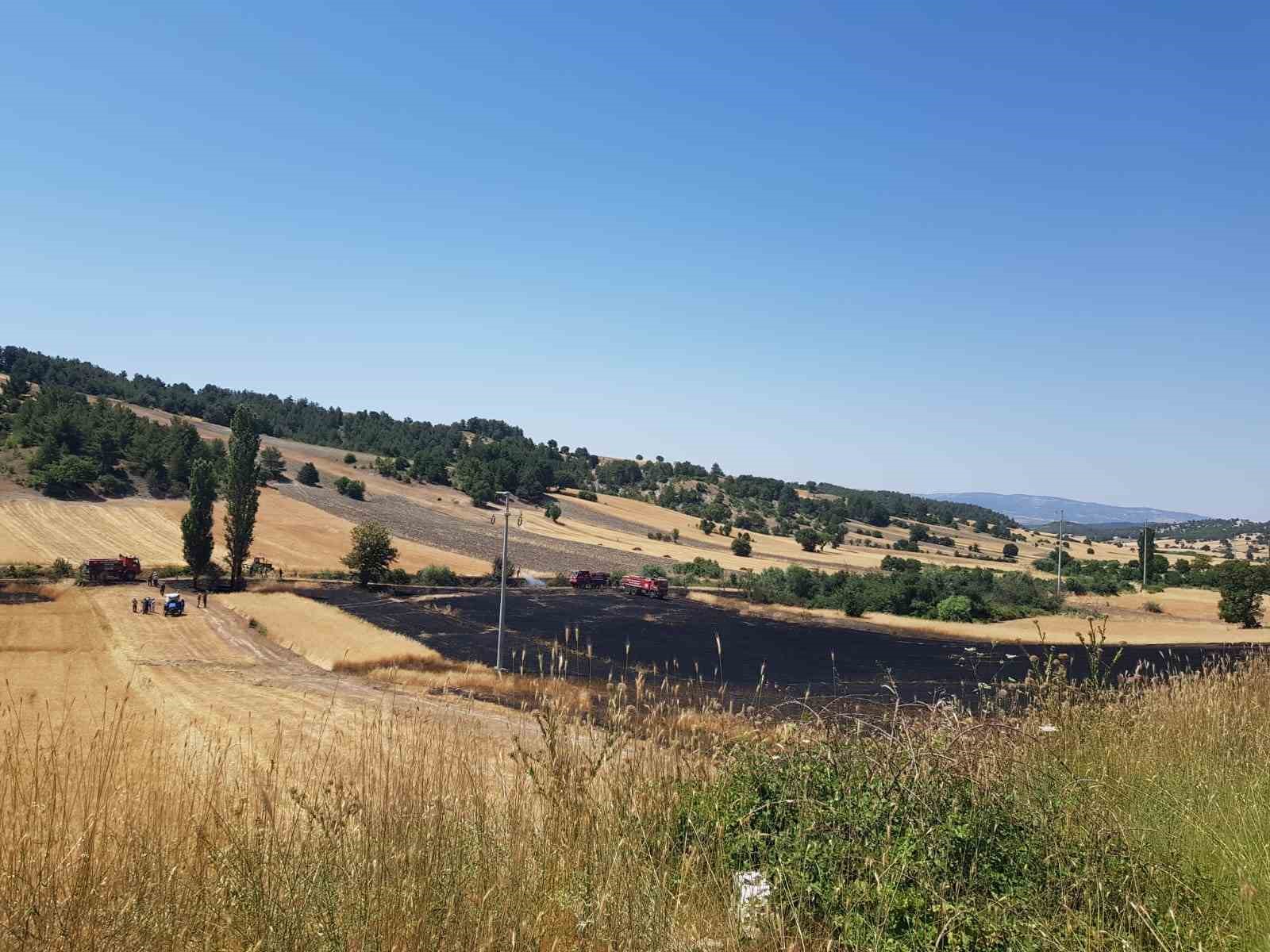 Kütahya’da buğday tarlasında yangın
