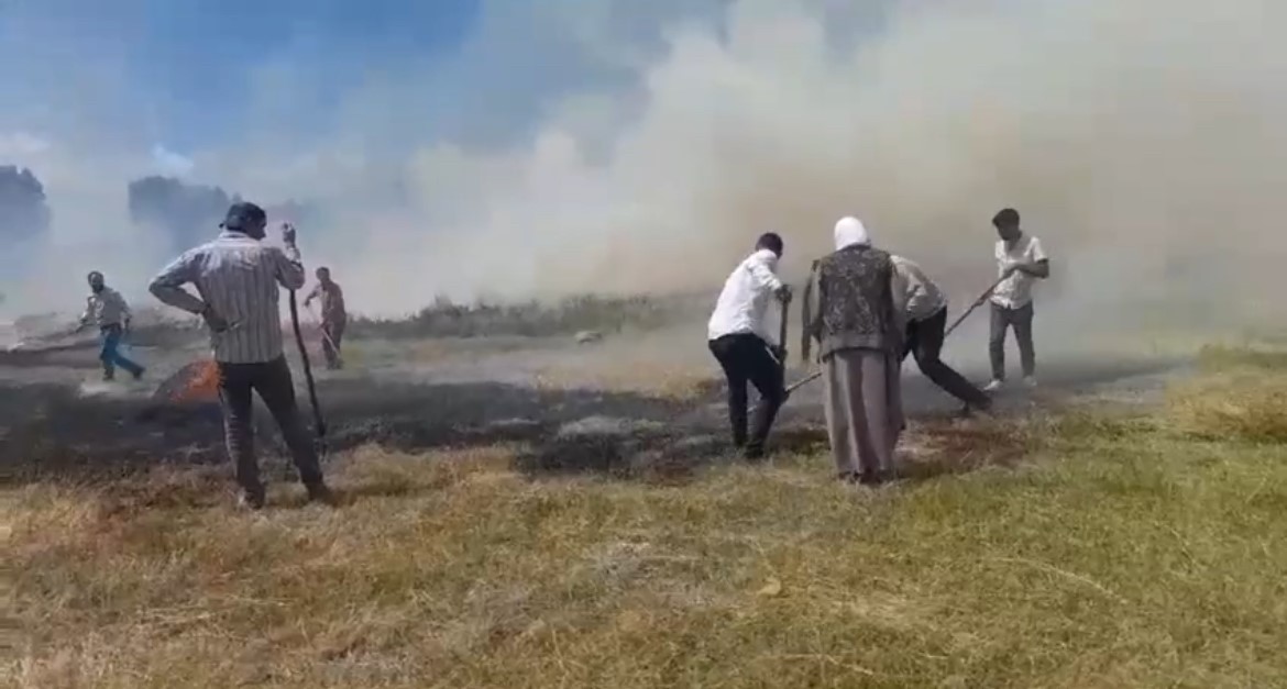 Patnos’ta buğday tarlası küle döndü
