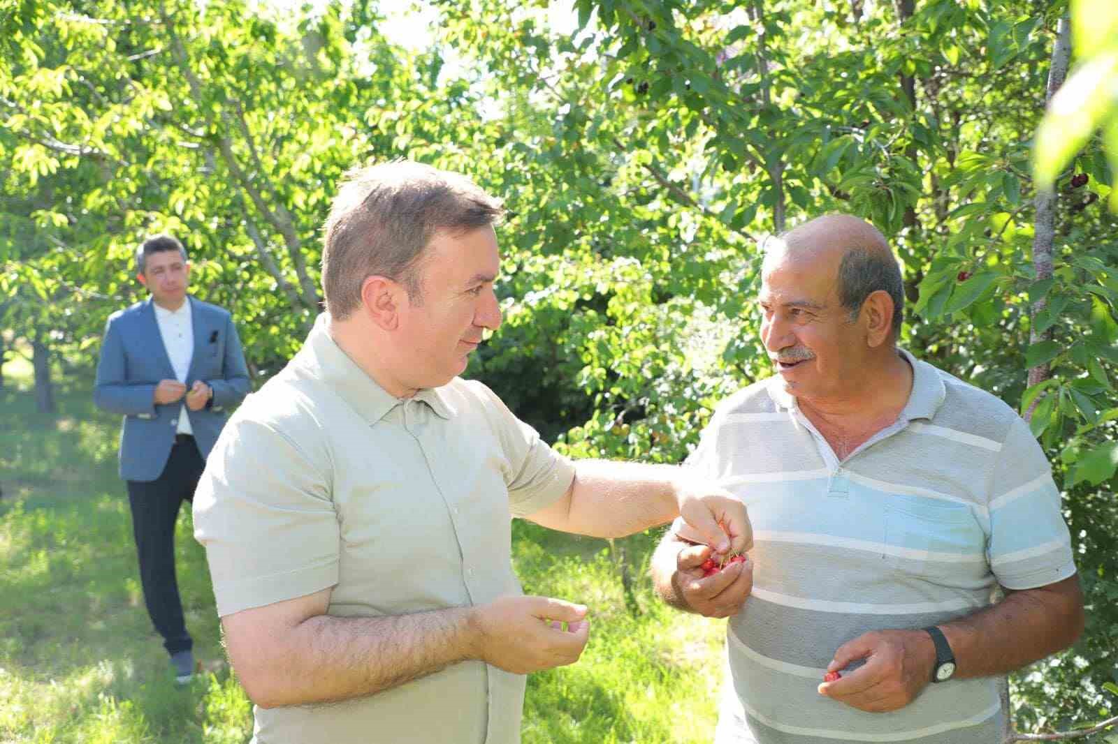 Yaylabaşı’nda kiraz bereketi
