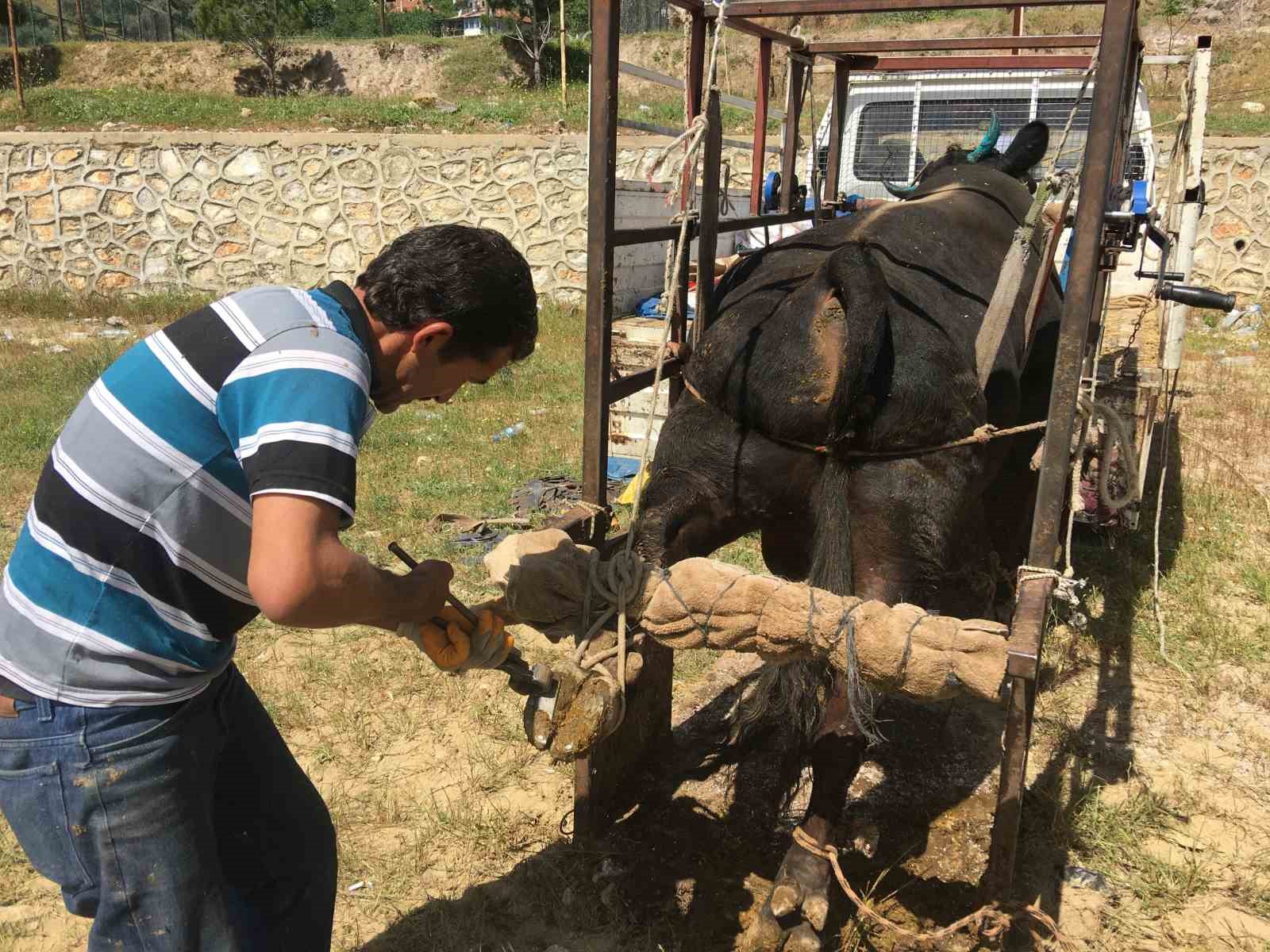 Mahalle mahalle gezip tırnak bakımı yapıyor
