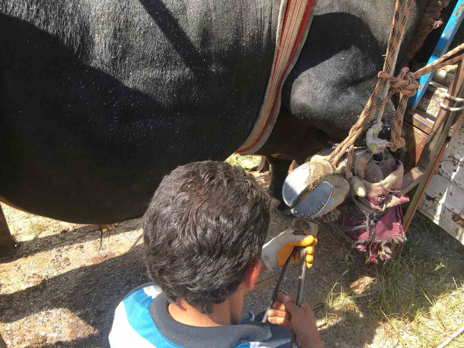 Mahalle mahalle gezip tırnak bakımı yapıyor
